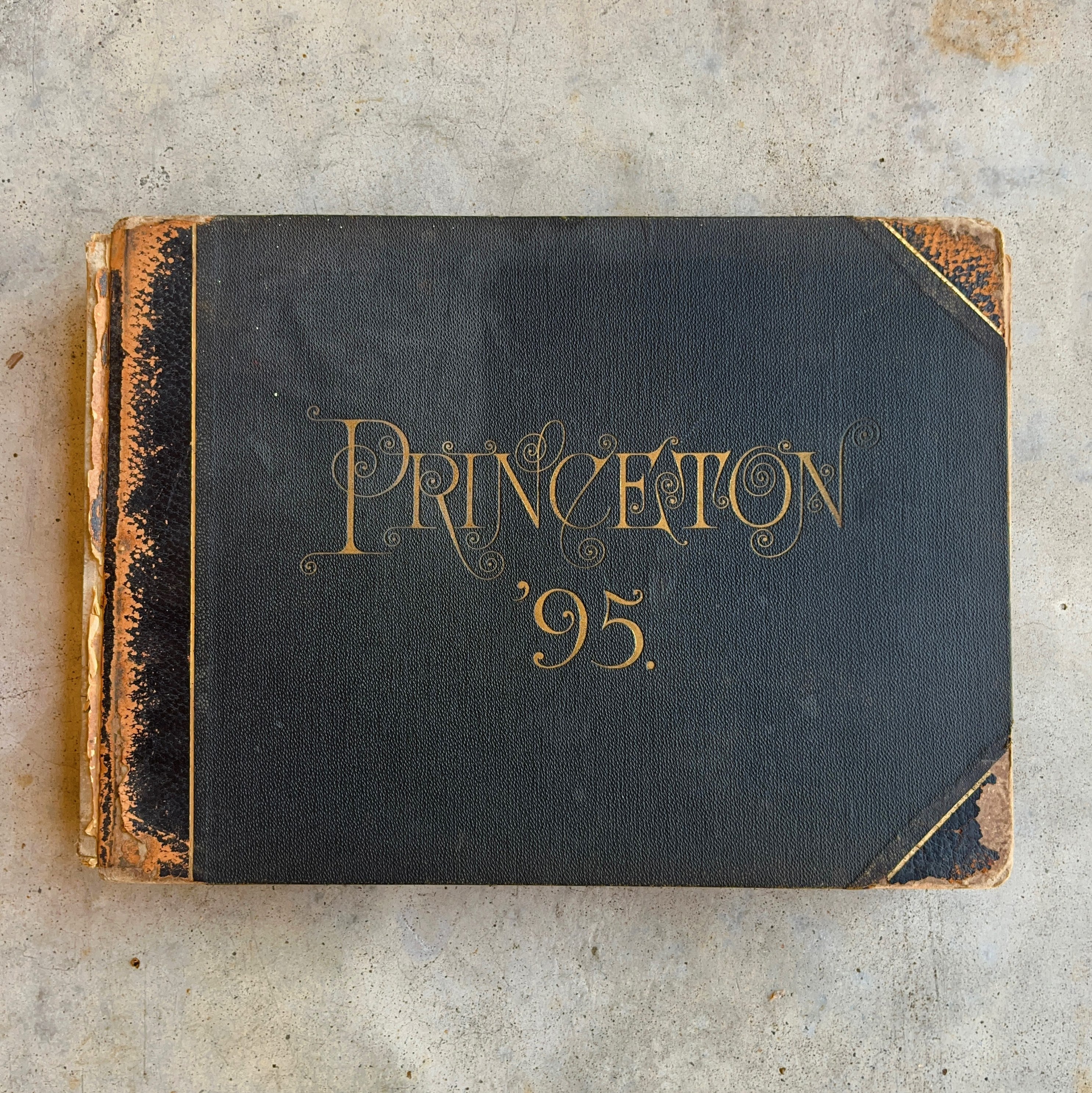 1895 Princeton University Yearbook