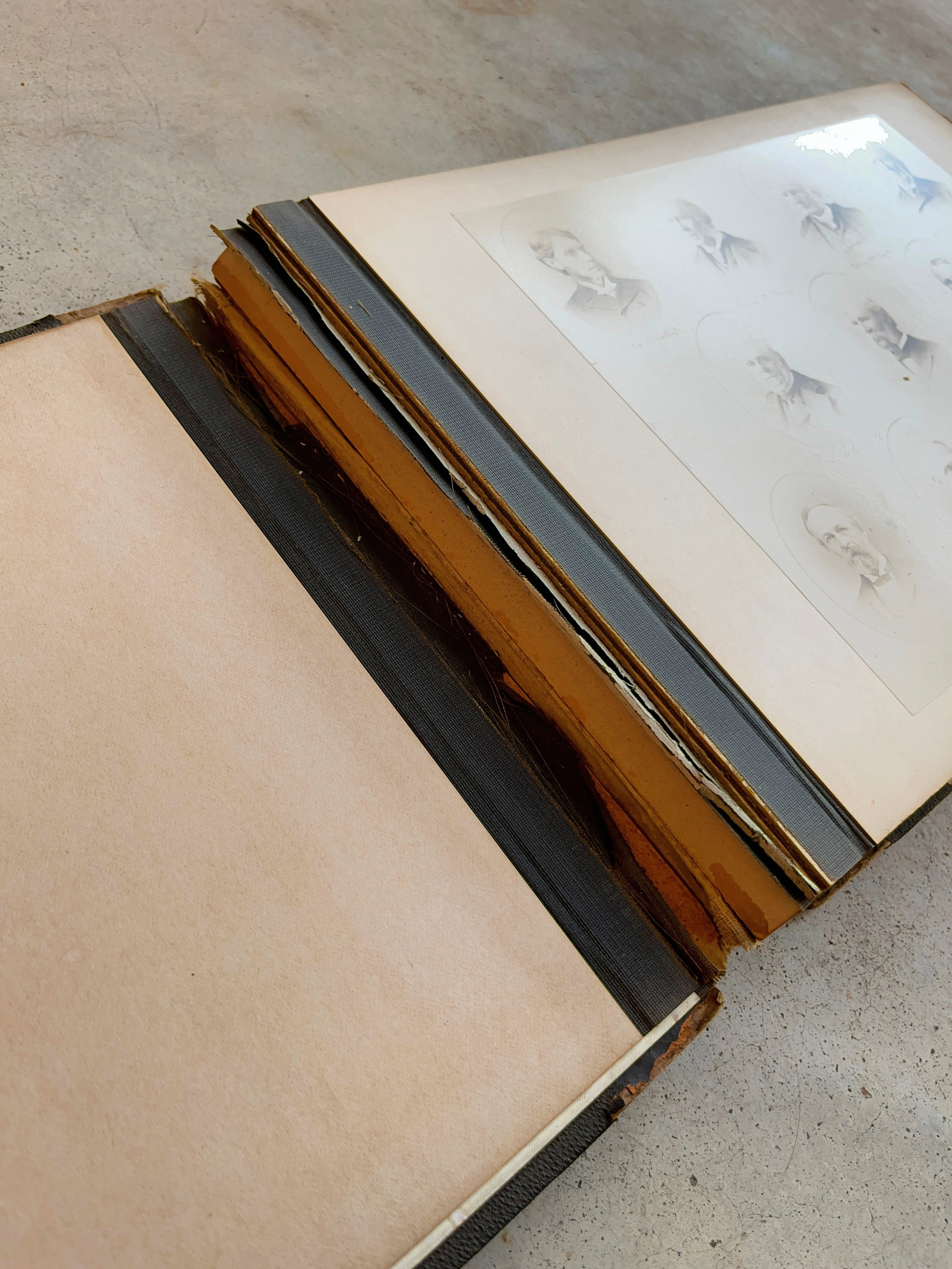 1895 Princeton University Yearbook