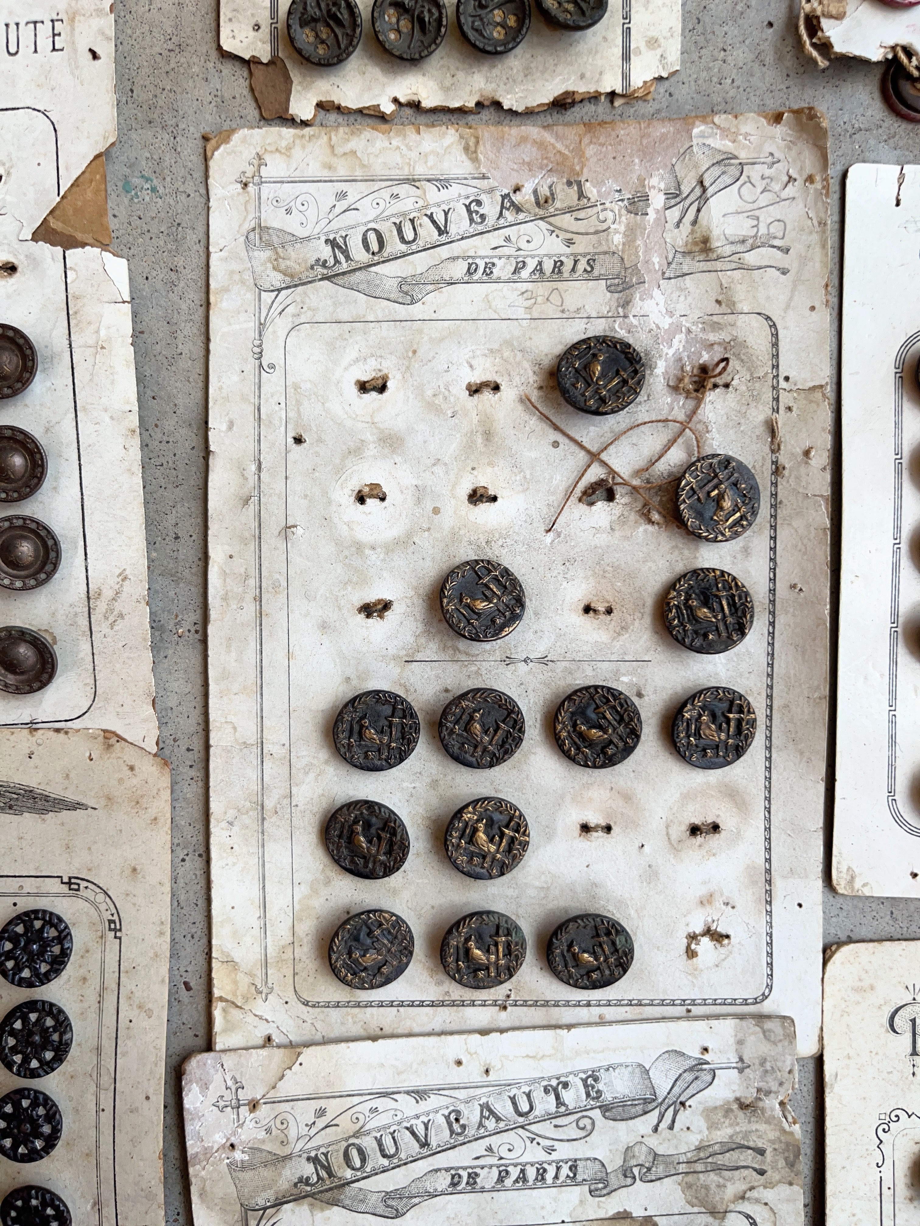 Large Lot of Antique Buttons + Notions 500+ Pcs