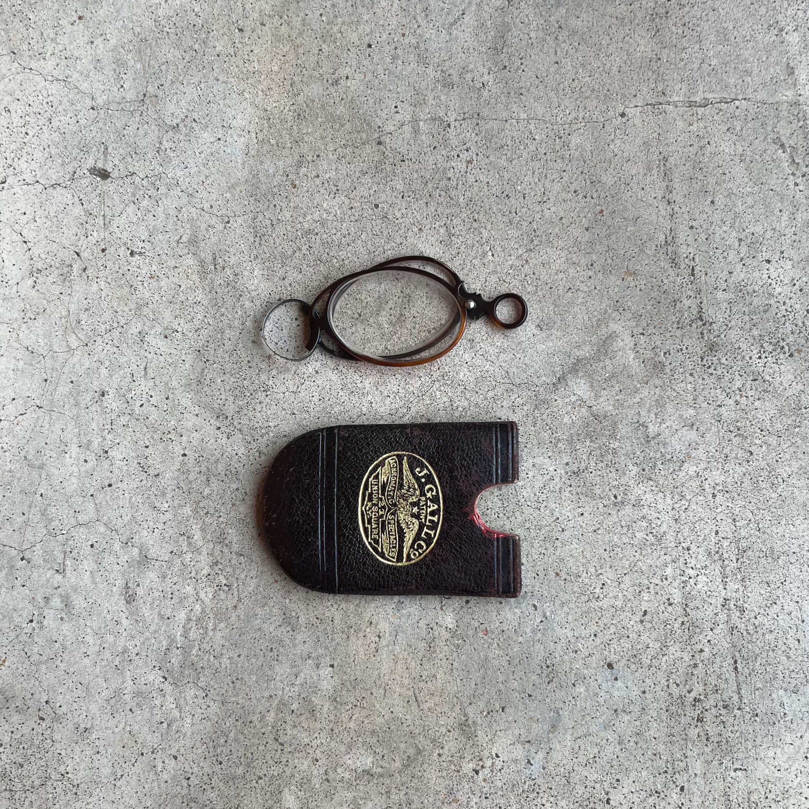 c. 1880s-1890s Tortoise Shell Pince Nez in Case
