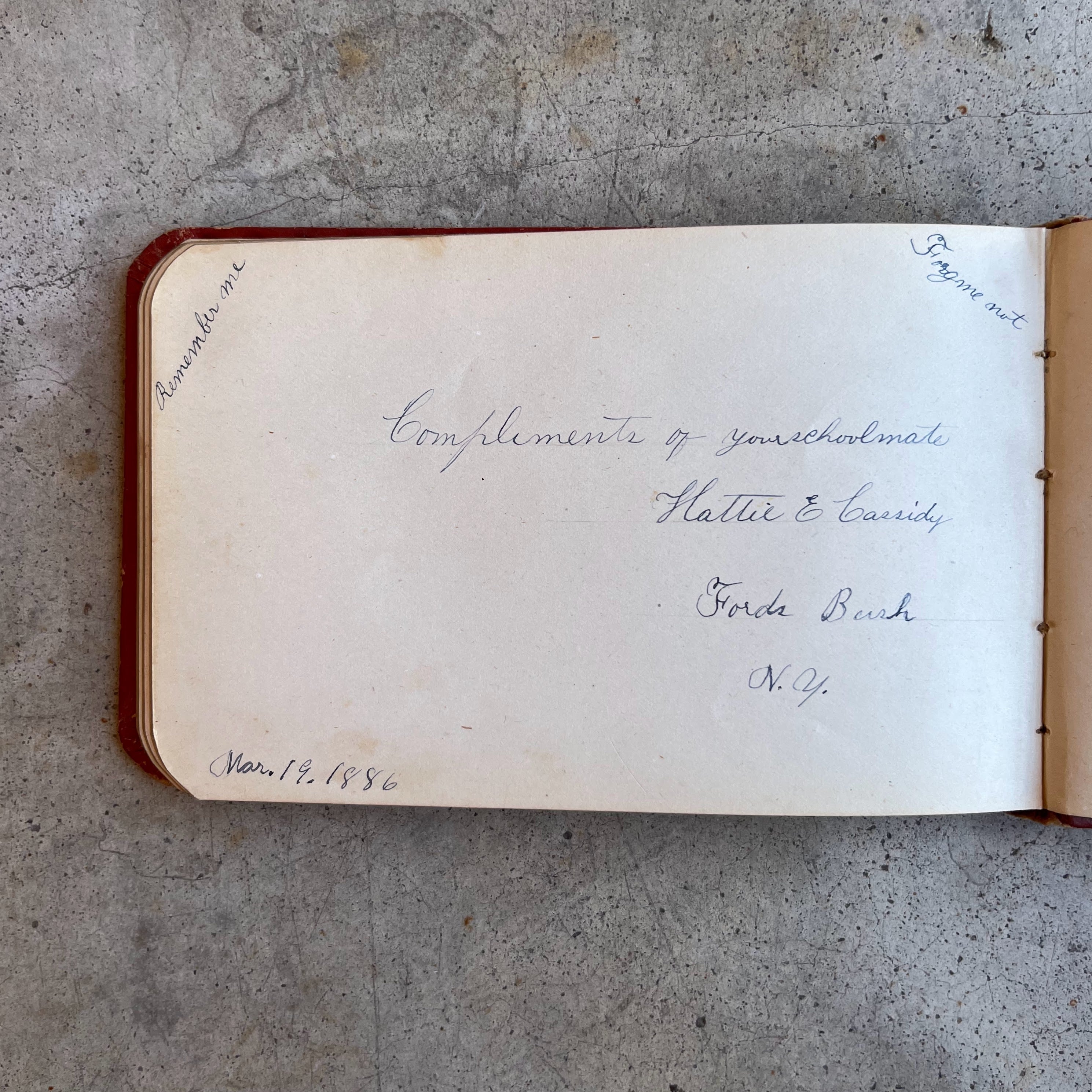 1880s Owl "Galaxy" Autograph Album