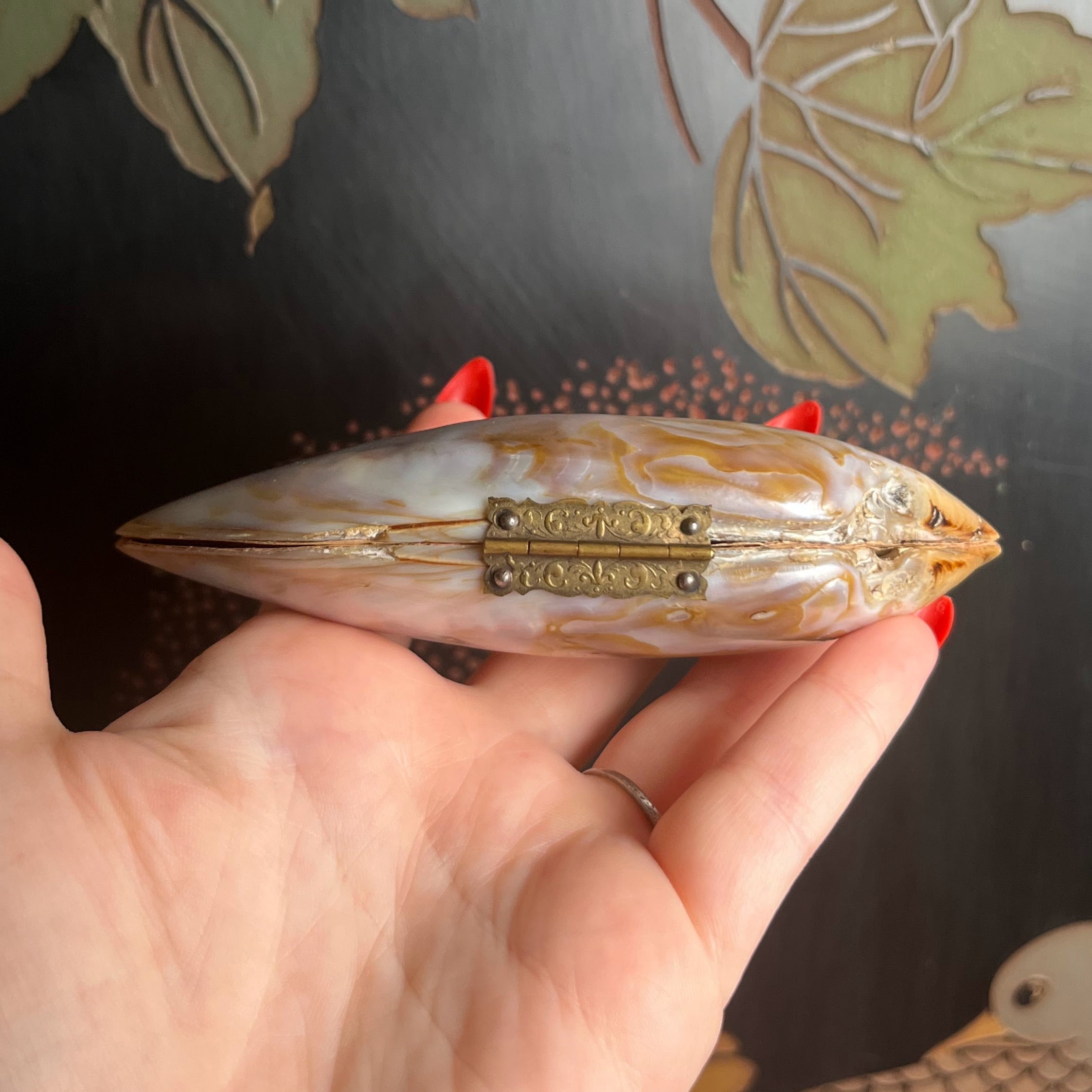 Turn of the Century Shell Purse