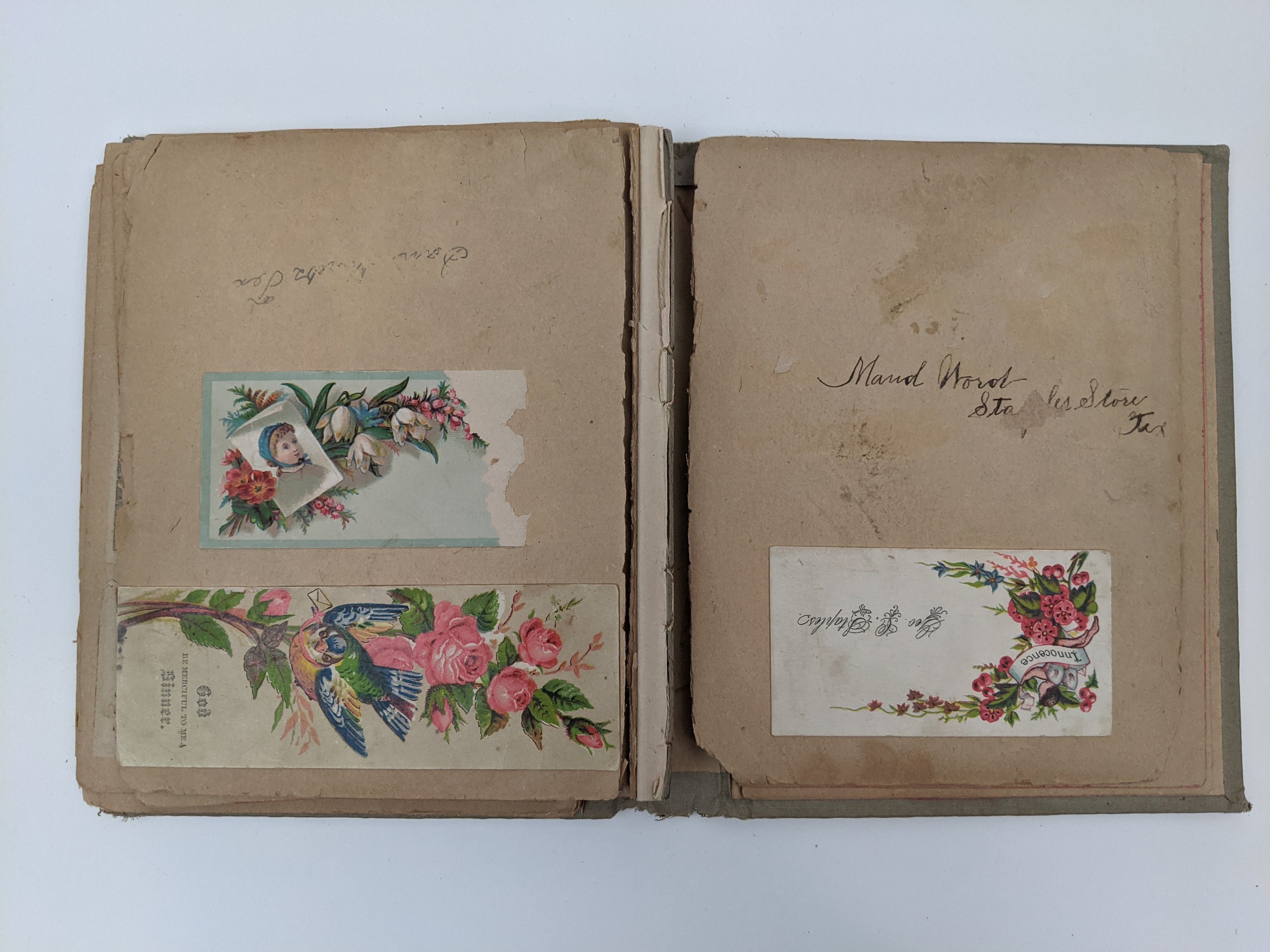 Victorian Scrapbook 1899 | 5.5" x 7"