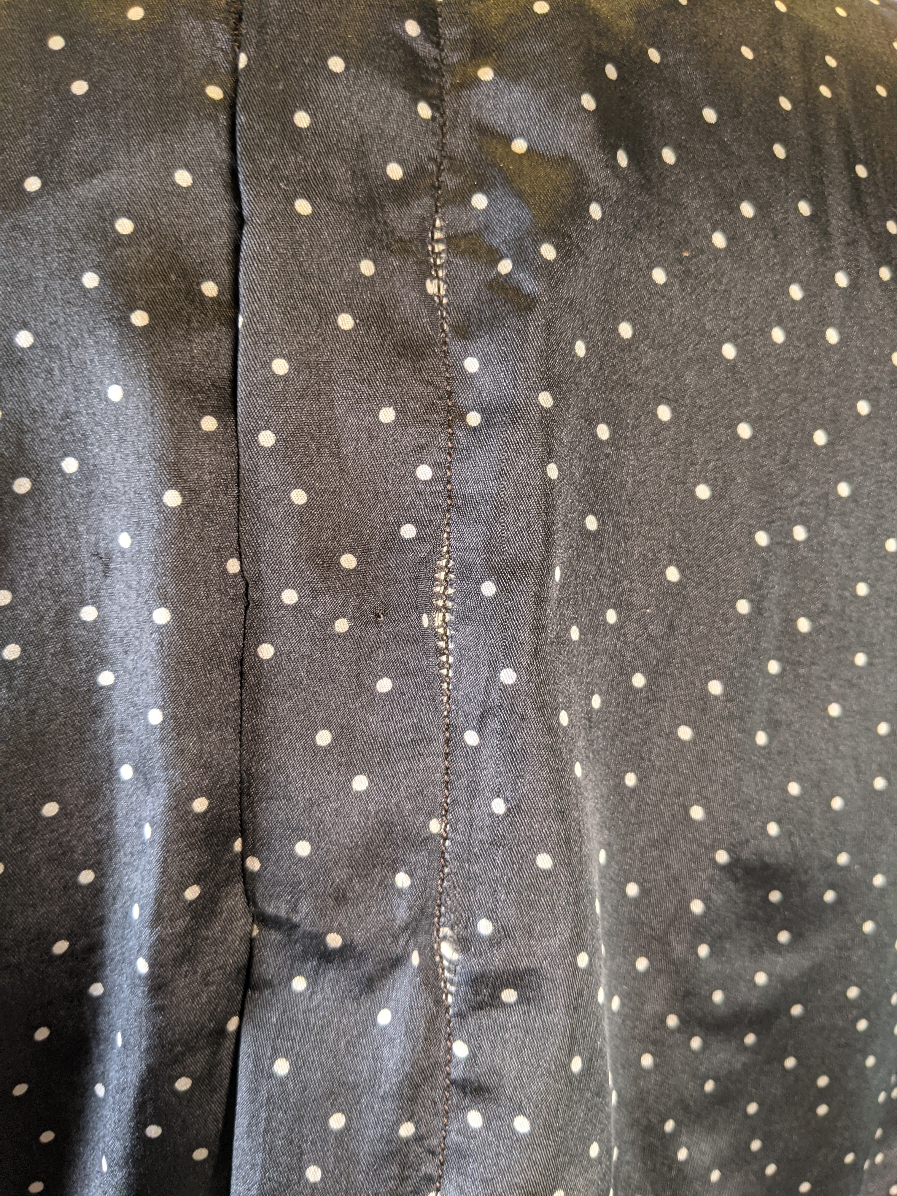 1910s Polka Dot Blouse
