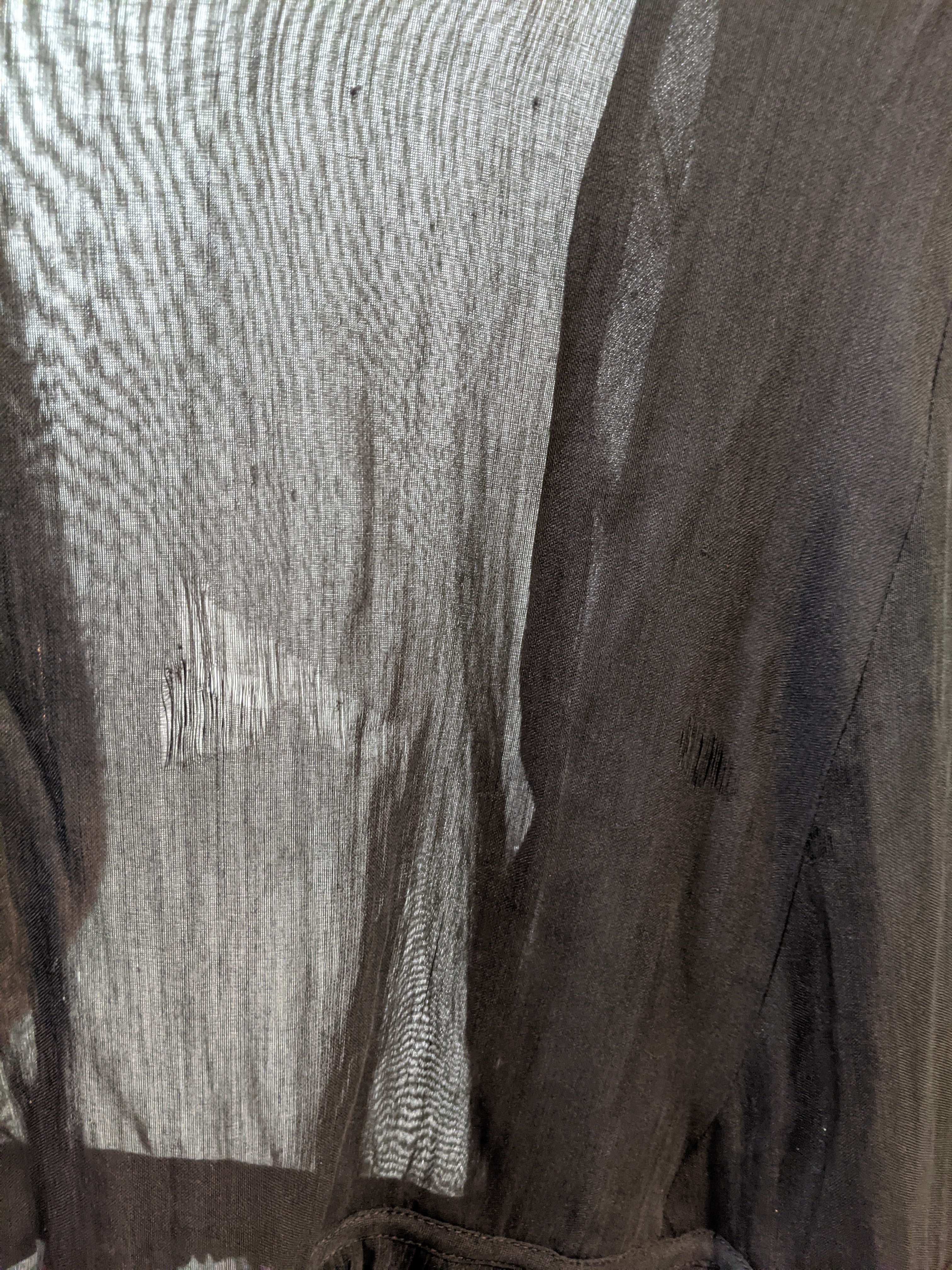 1900s Evening Gown