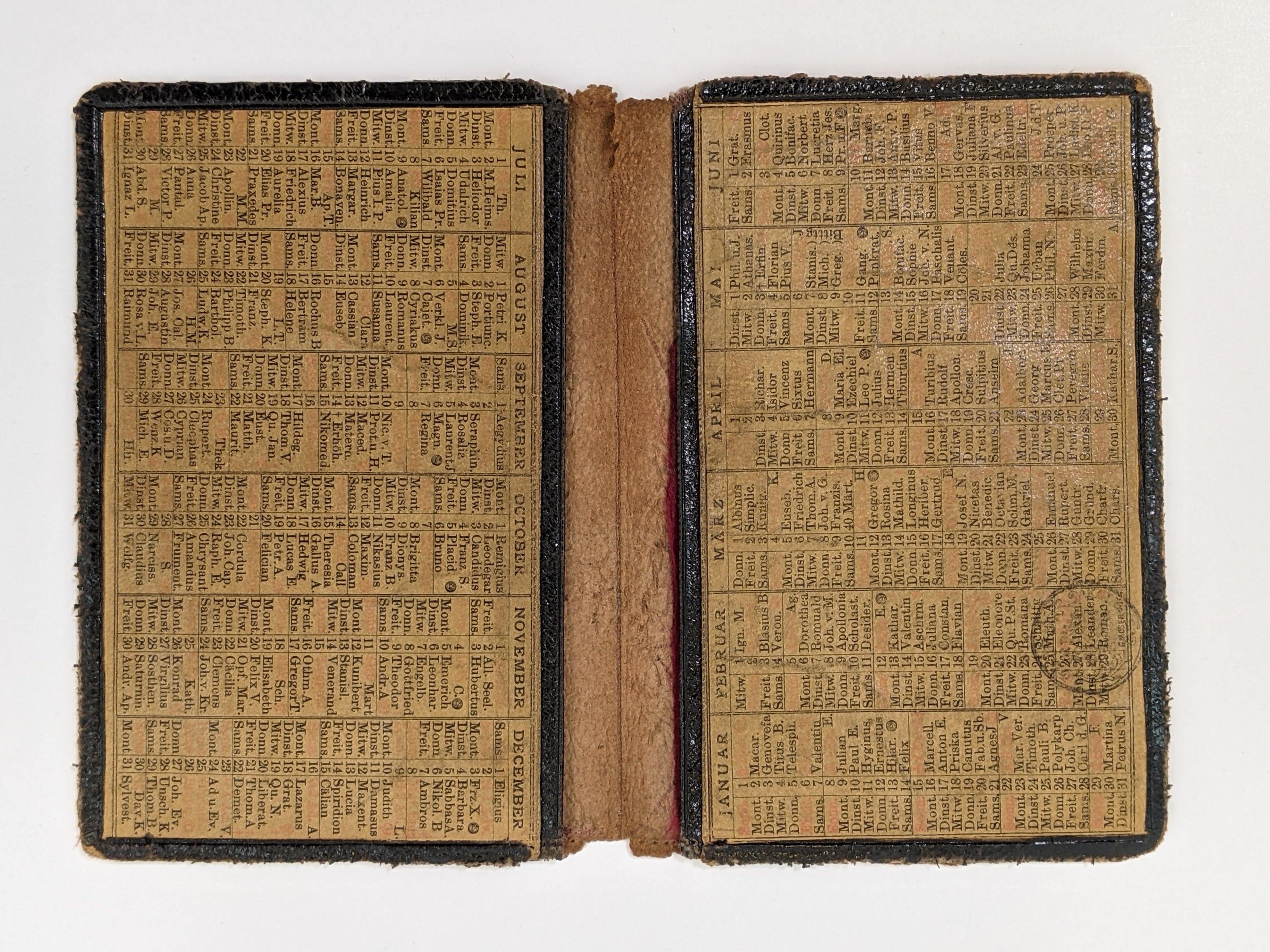 1888 Spiderweb Pocketbook