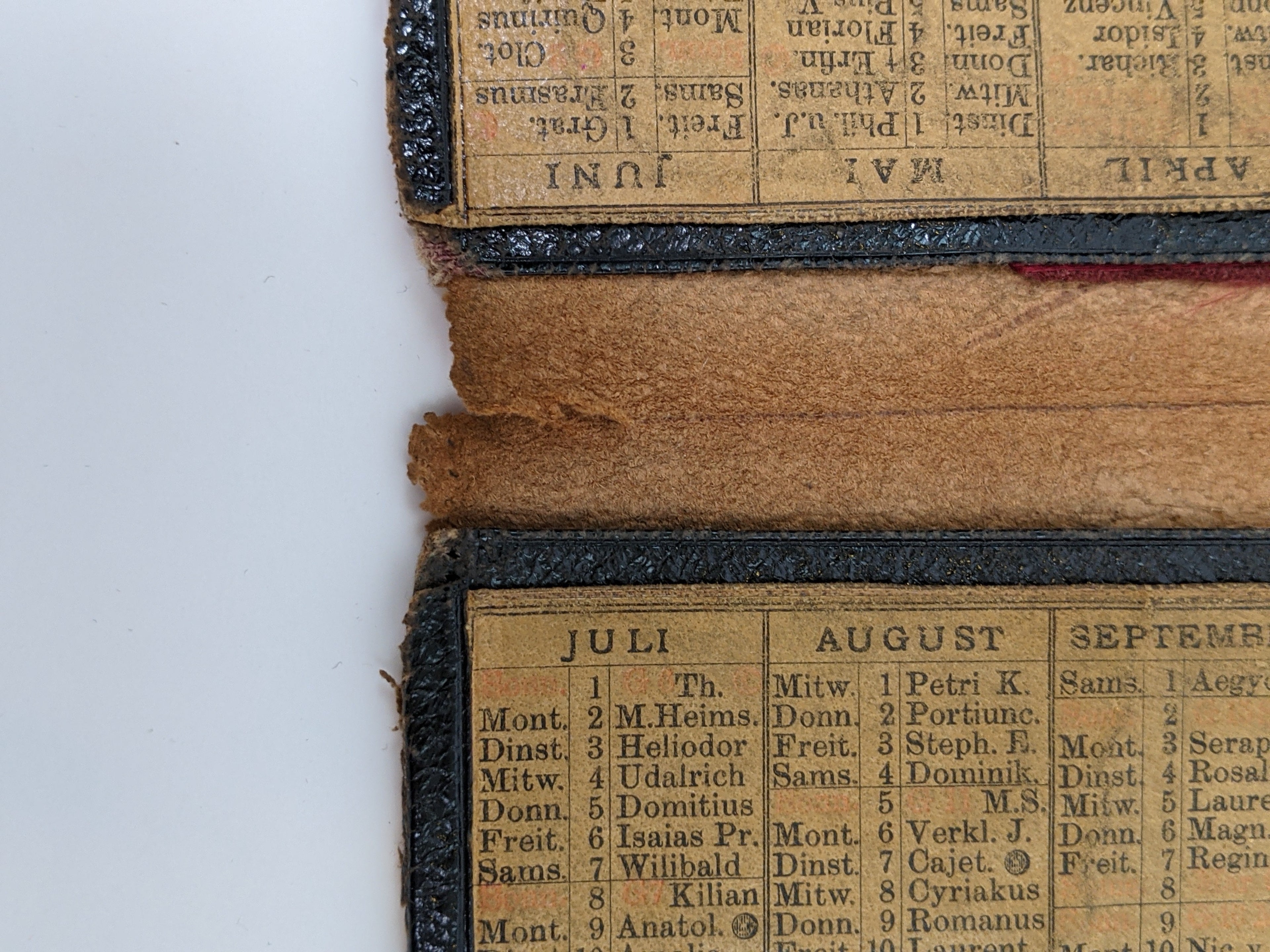 1888 Spiderweb Pocketbook