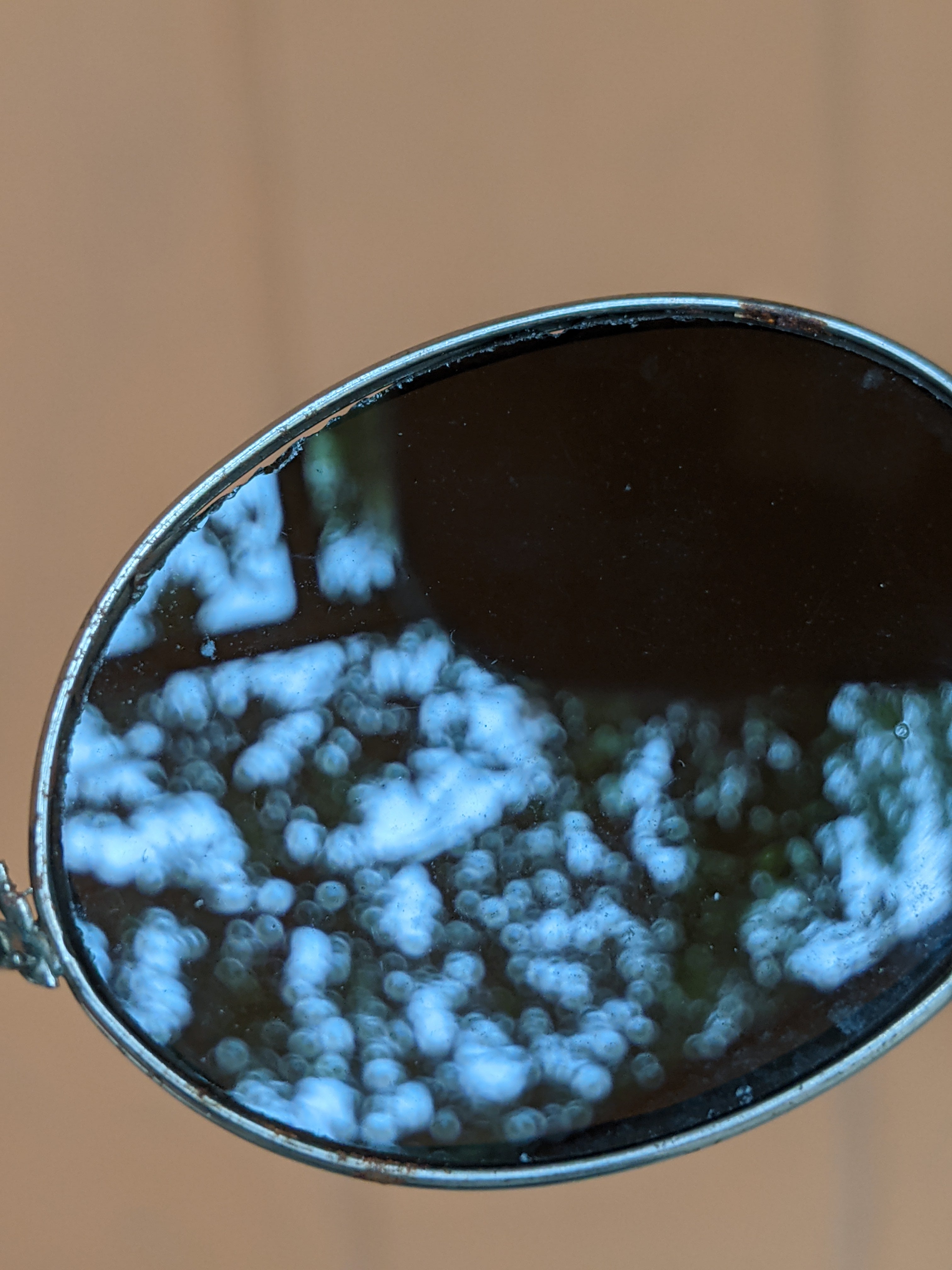 1890s-1900s Tinted Eyeglasses