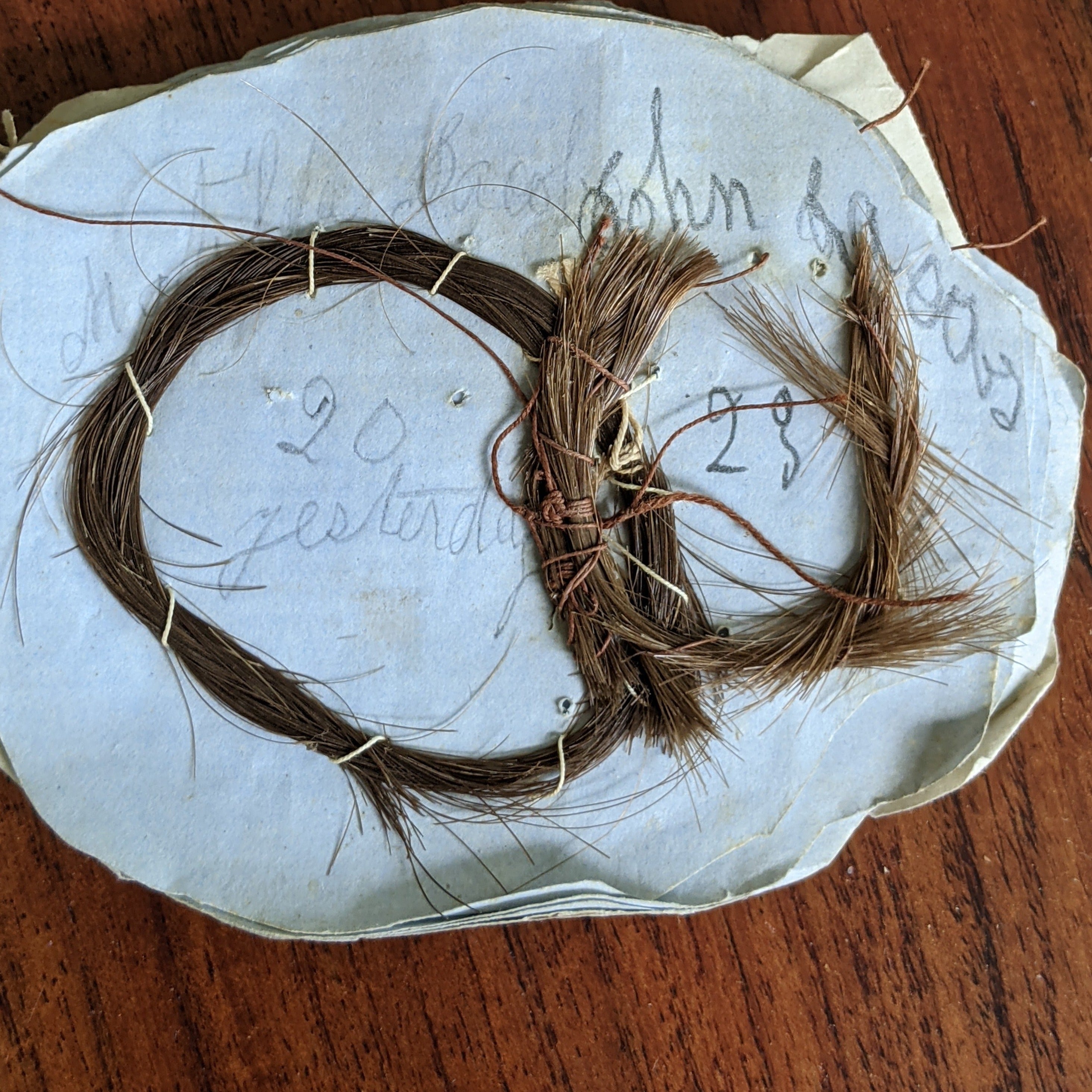 1860s Hair Album