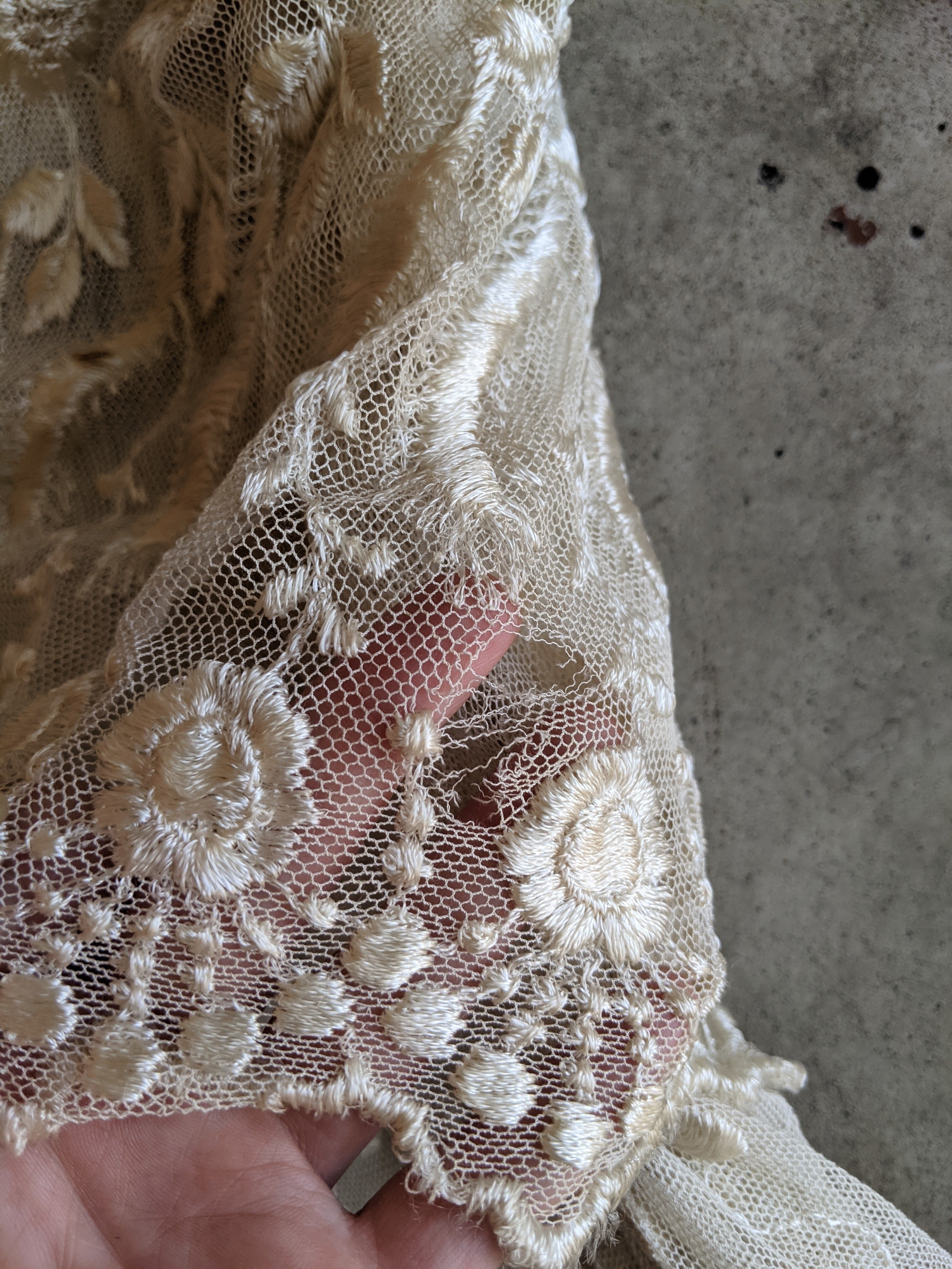1900s Net Lace Dress