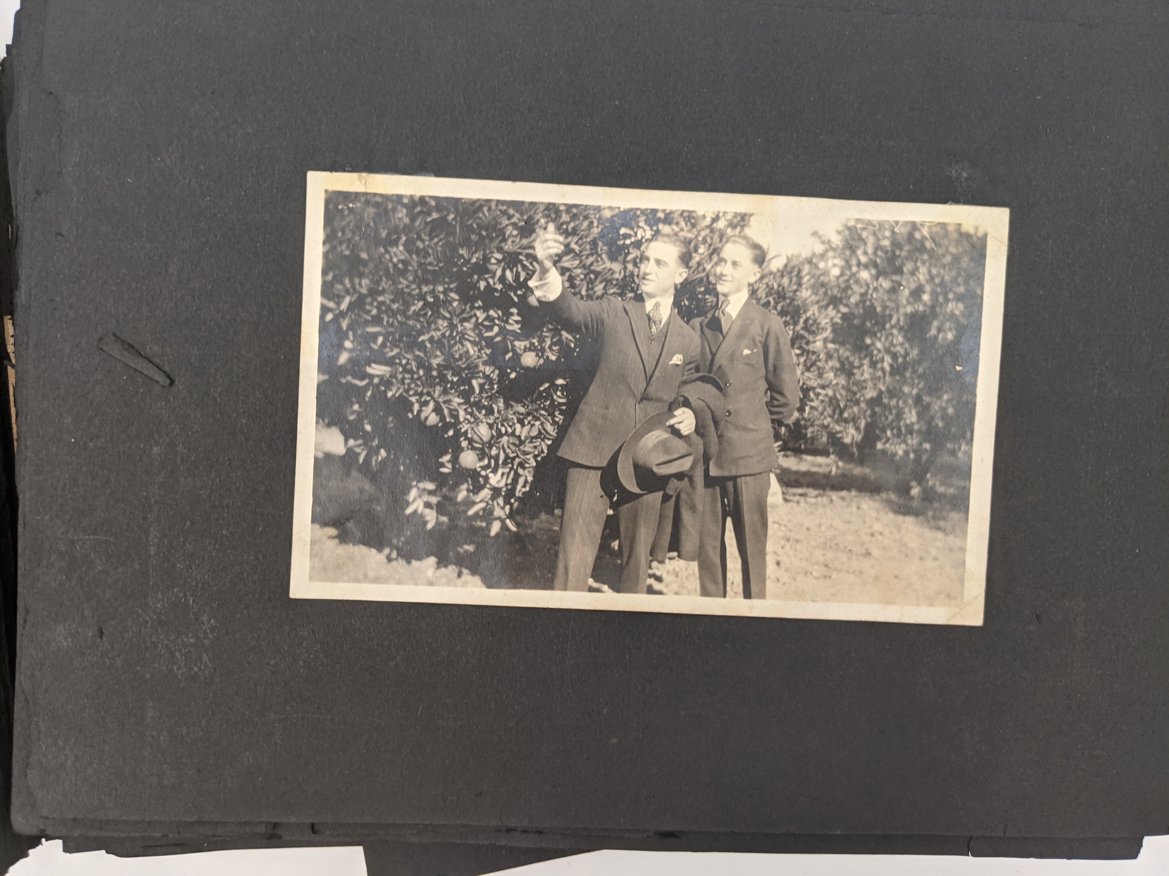 Photo Album c. 1914-1922