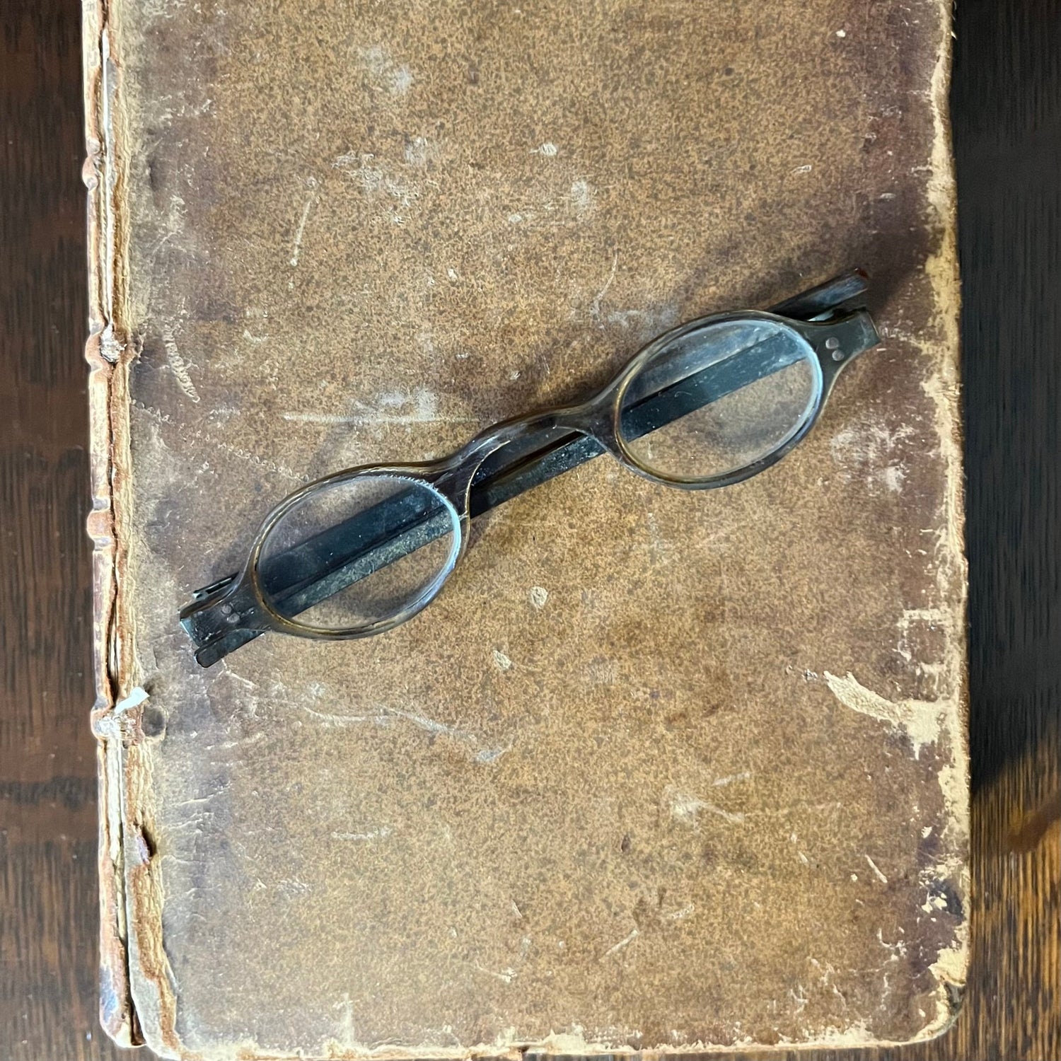 c. 1800 Tortoise Shell Wig Spectacles - Dark