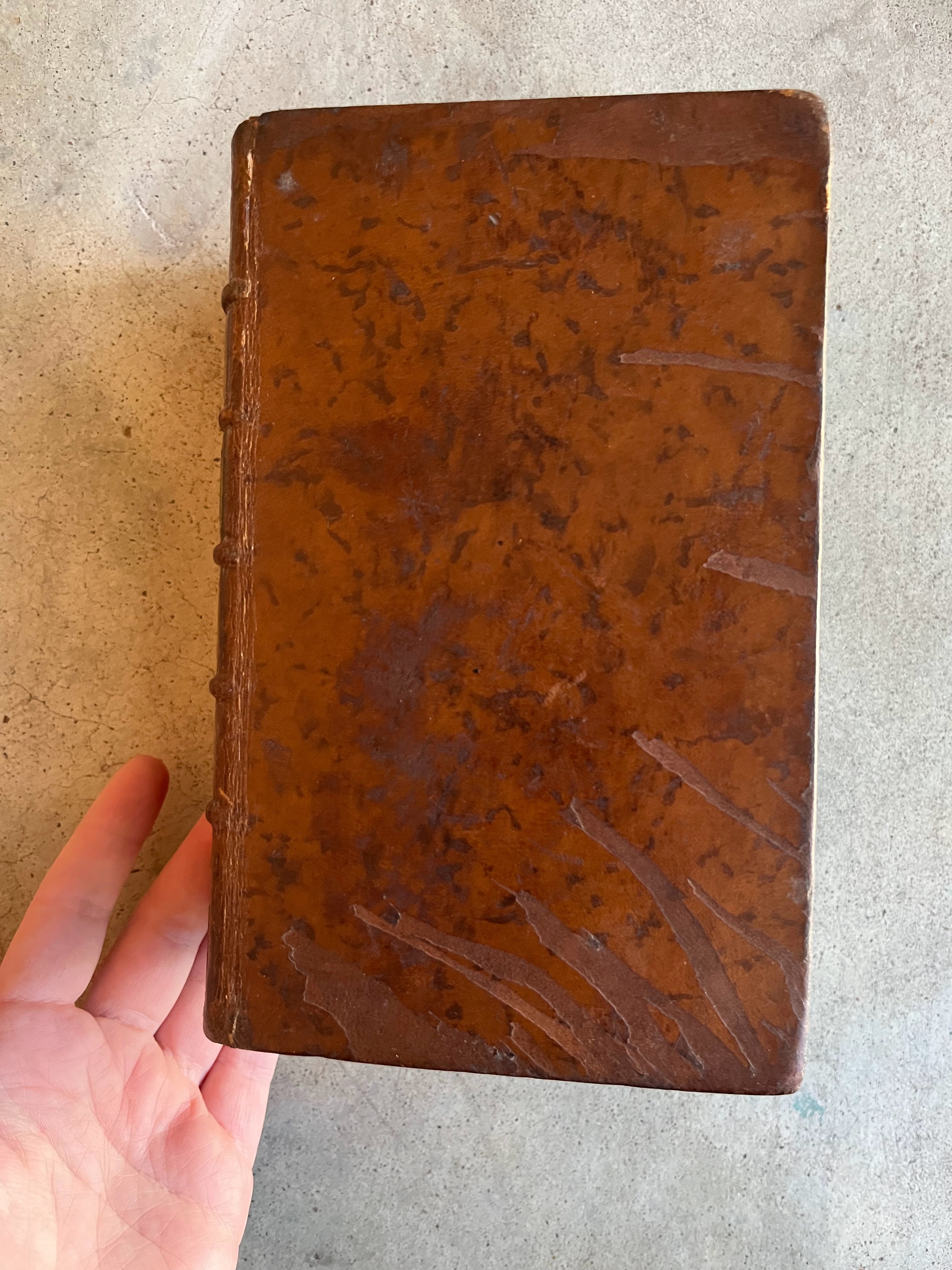 RESERVED | Dictionaire des Femmes Celebres 1788 Two Volumes