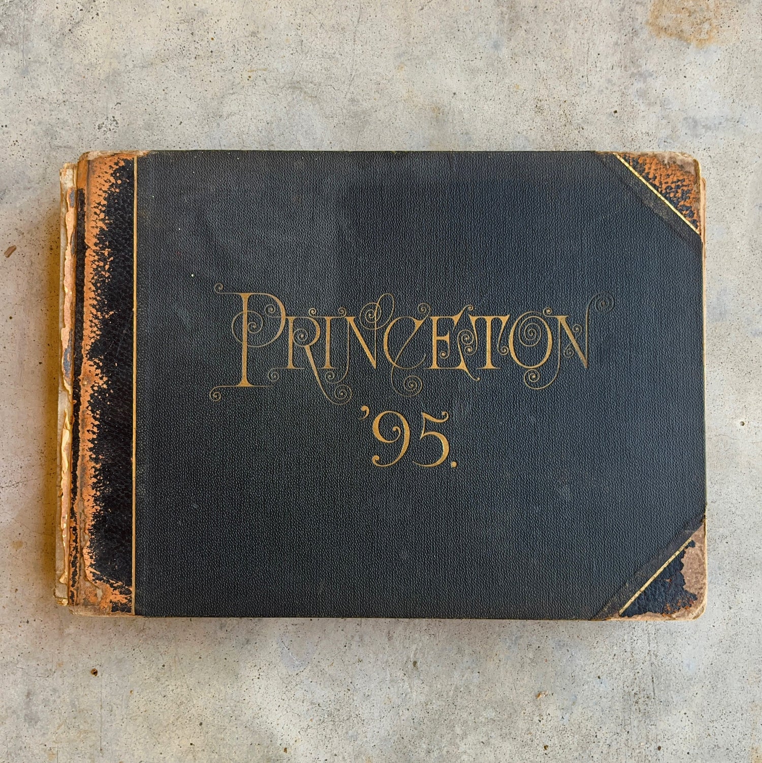 1895 Princeton University Yearbook