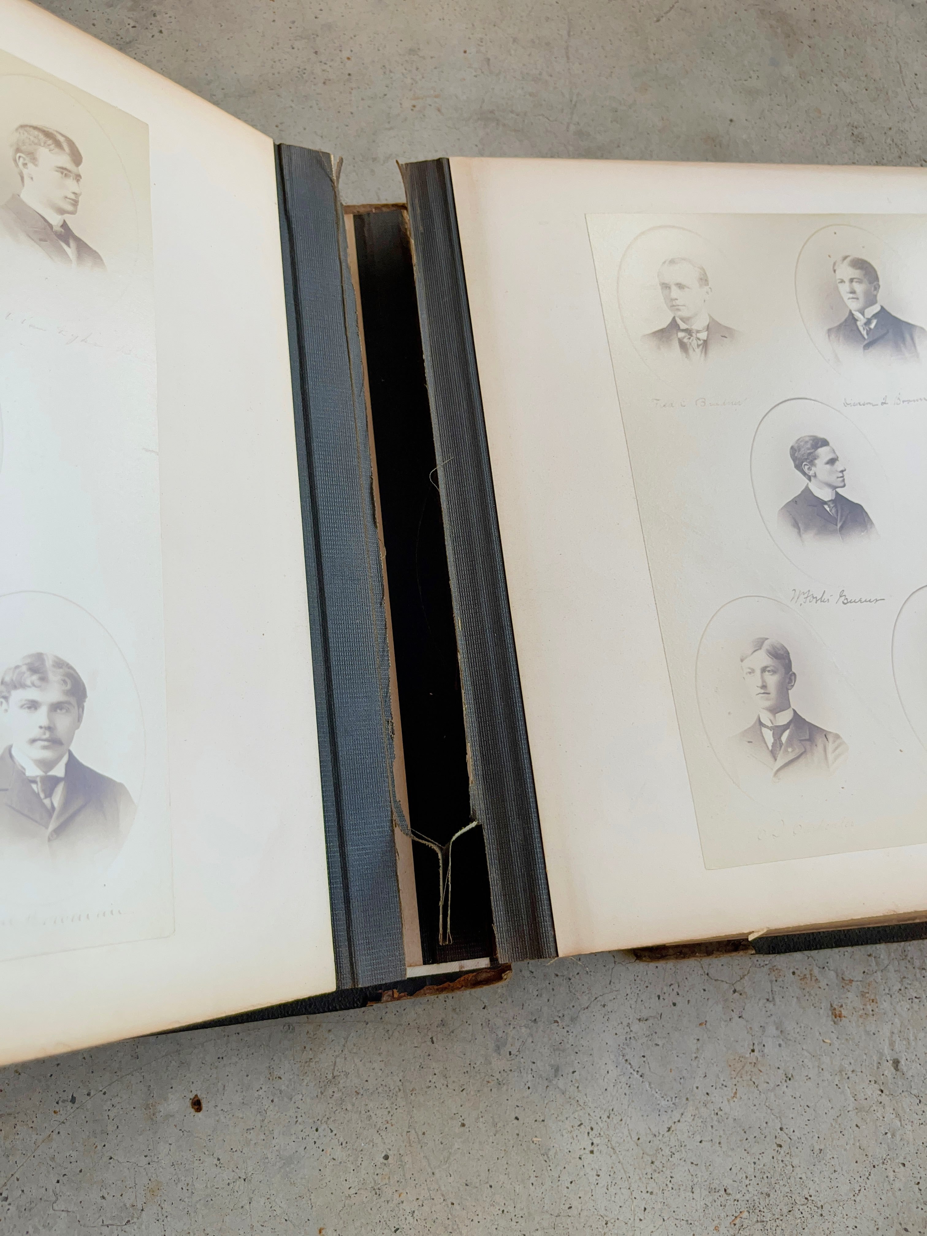 1895 Princeton University Yearbook