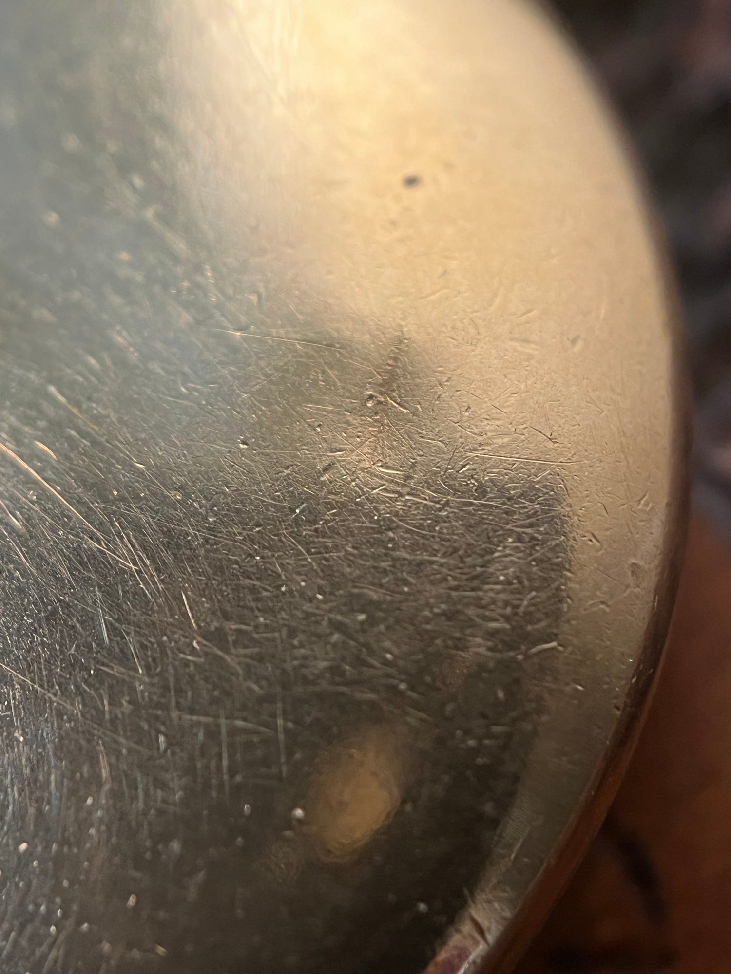 c. 1900s-1910s Gold Filled Horseshoe Locket