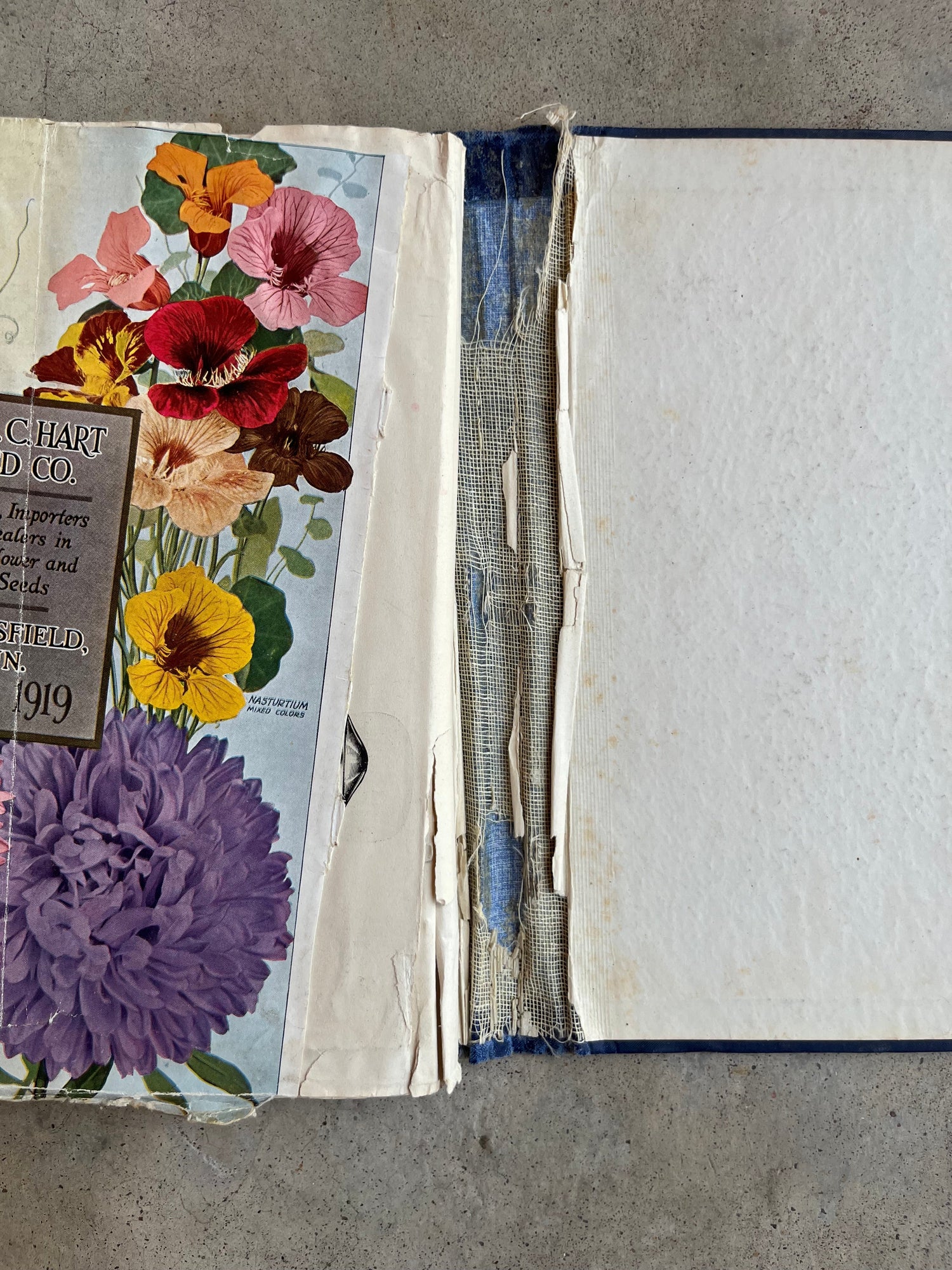 c. 1890 National Casket Co. Catalog Scrapbook