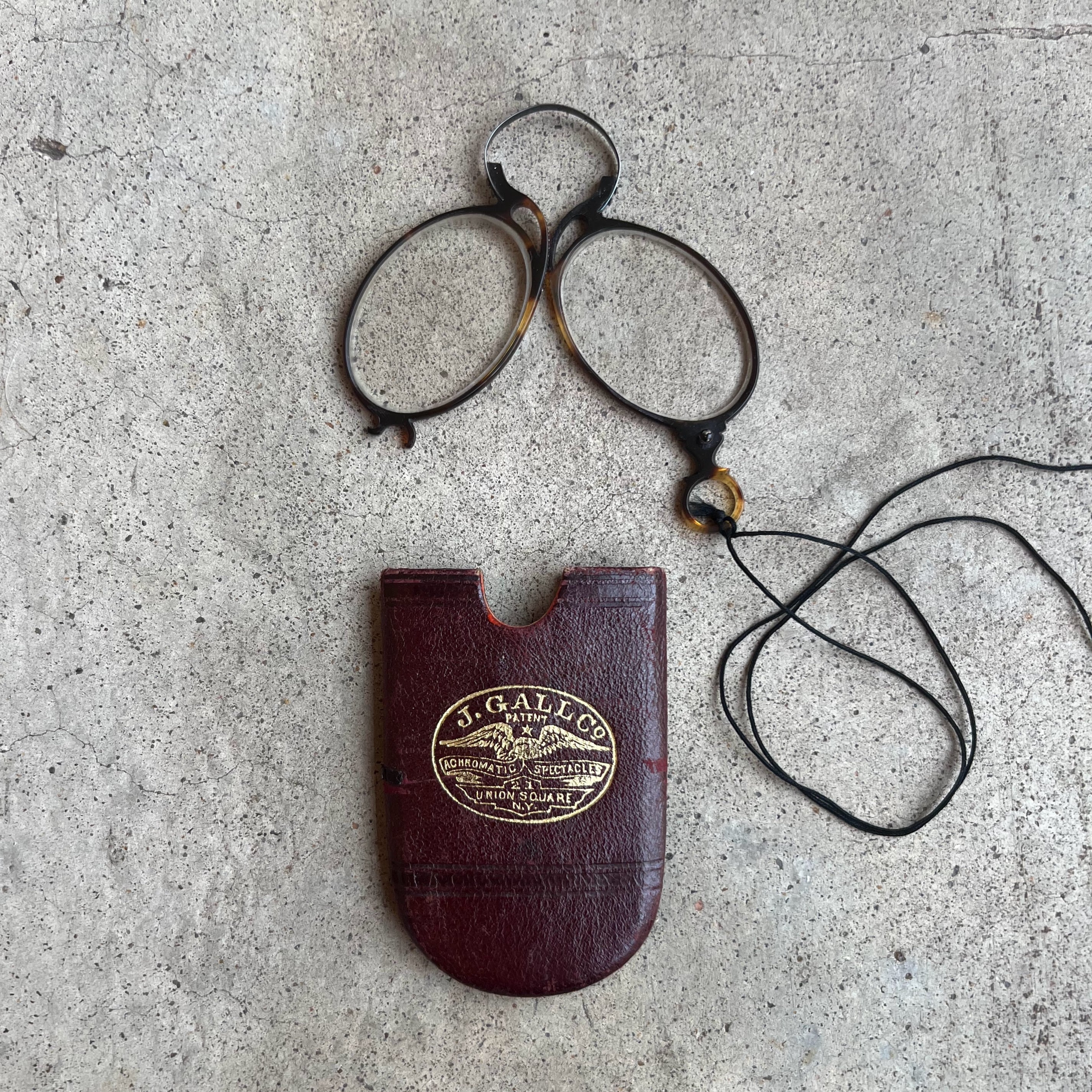 c. 1880s-1890s Tortoise Shell Pince Nez with Cord + Case