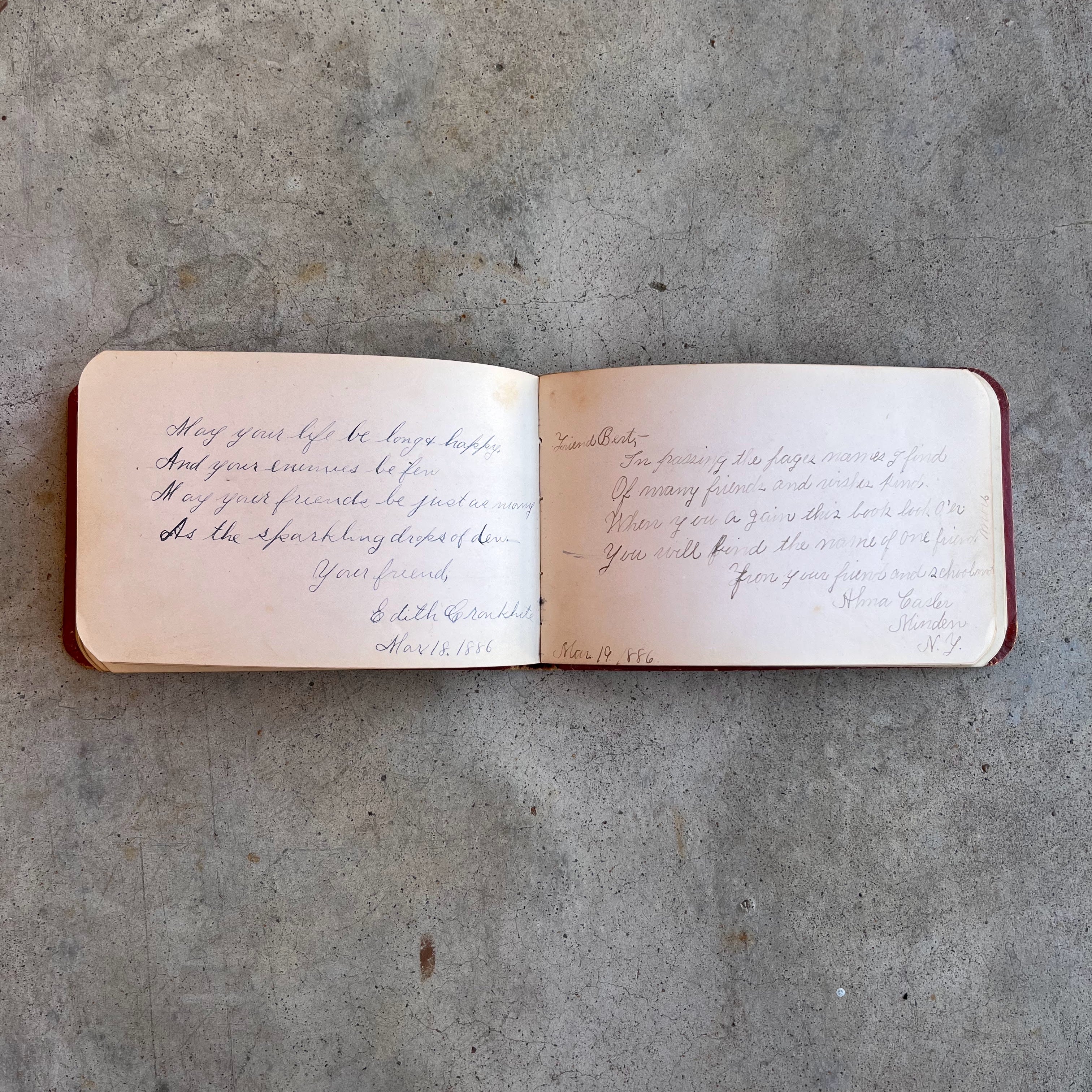 1880s Owl "Galaxy" Autograph Album