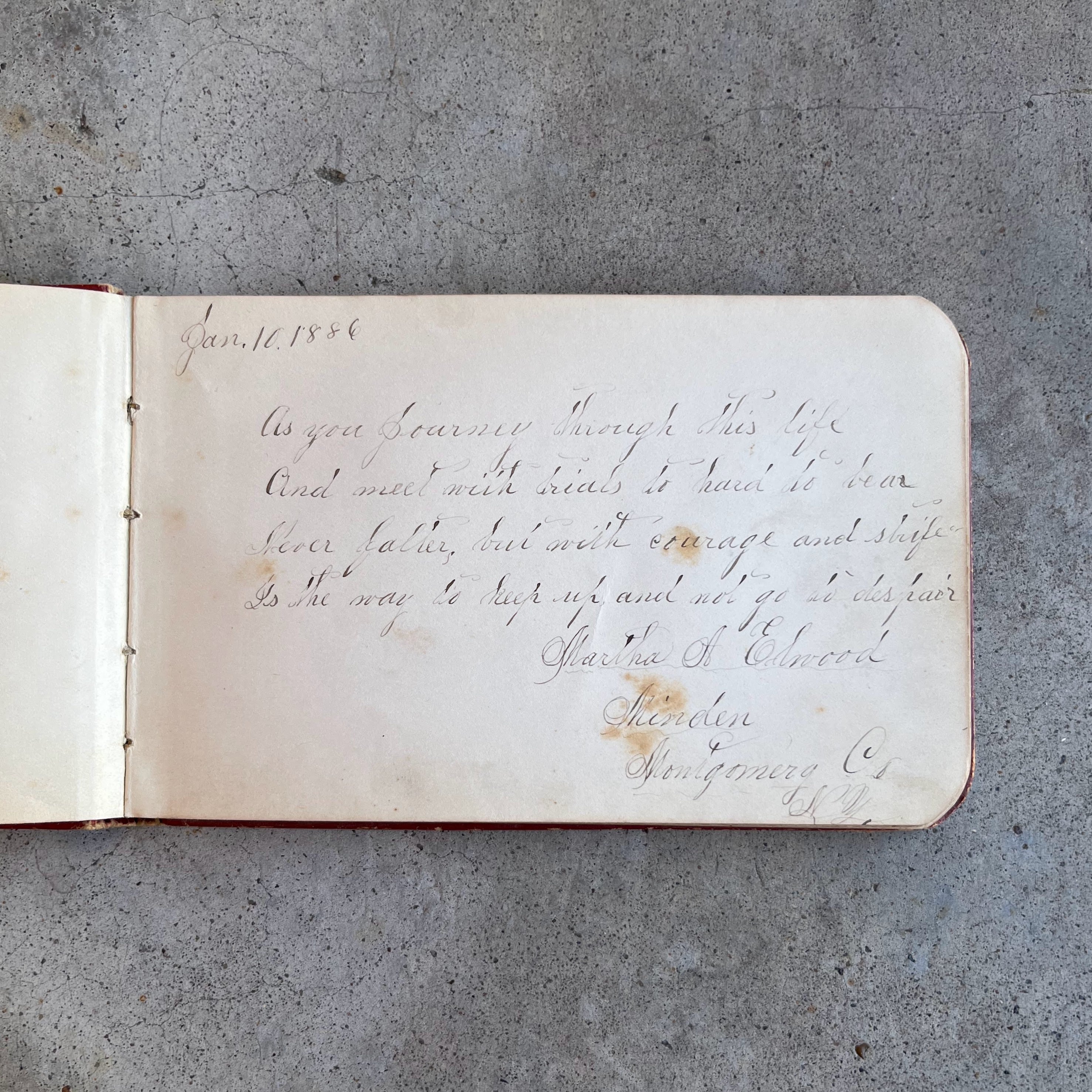 1880s Owl "Galaxy" Autograph Album