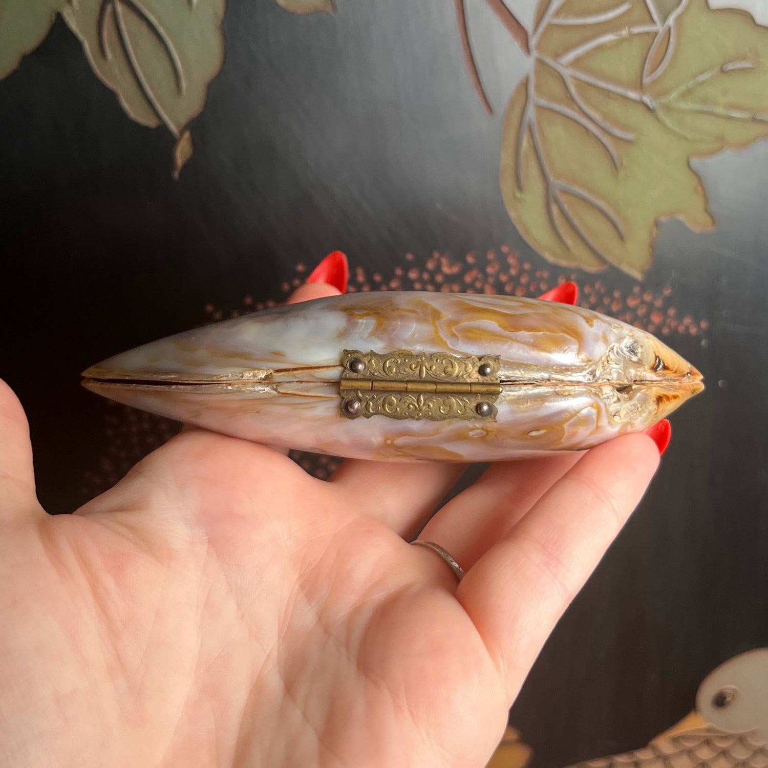 Turn of the Century Shell Purse