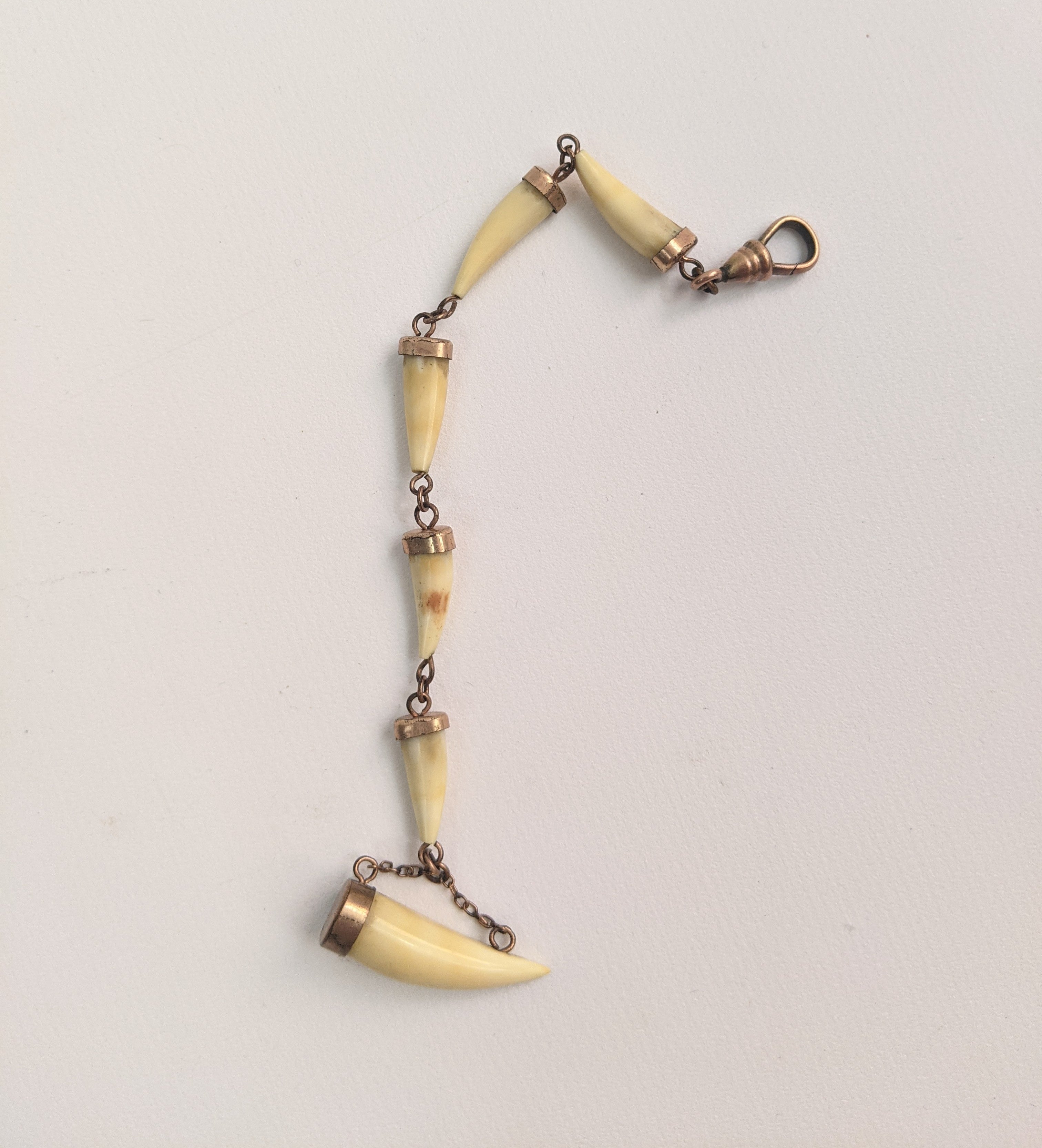 Victorian Bone Tooth Watch Fob Chain with Dog Clip