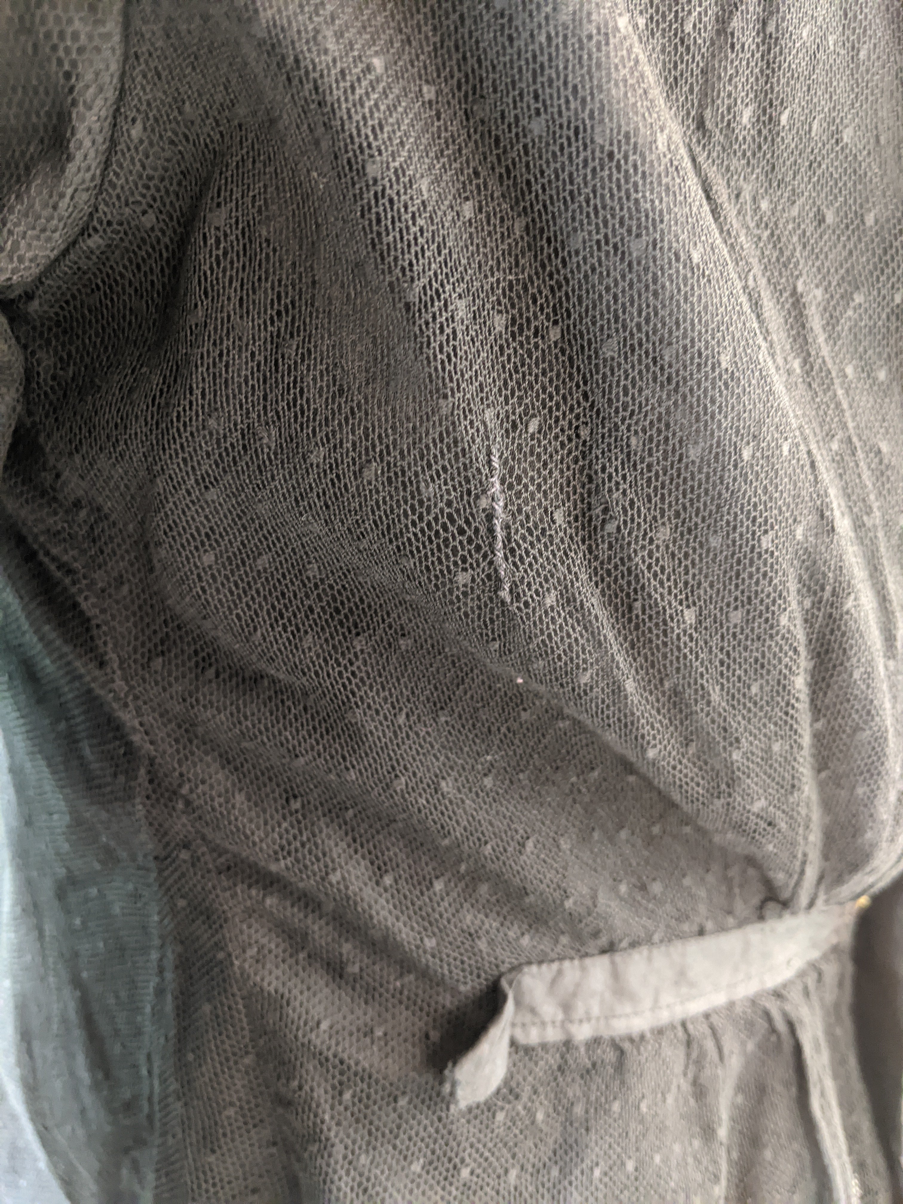 Edwardian Net Lace Shirtwaist