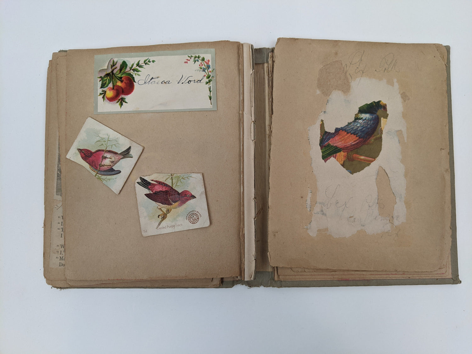 Victorian Scrapbook 1899 | 5.5" x 7"