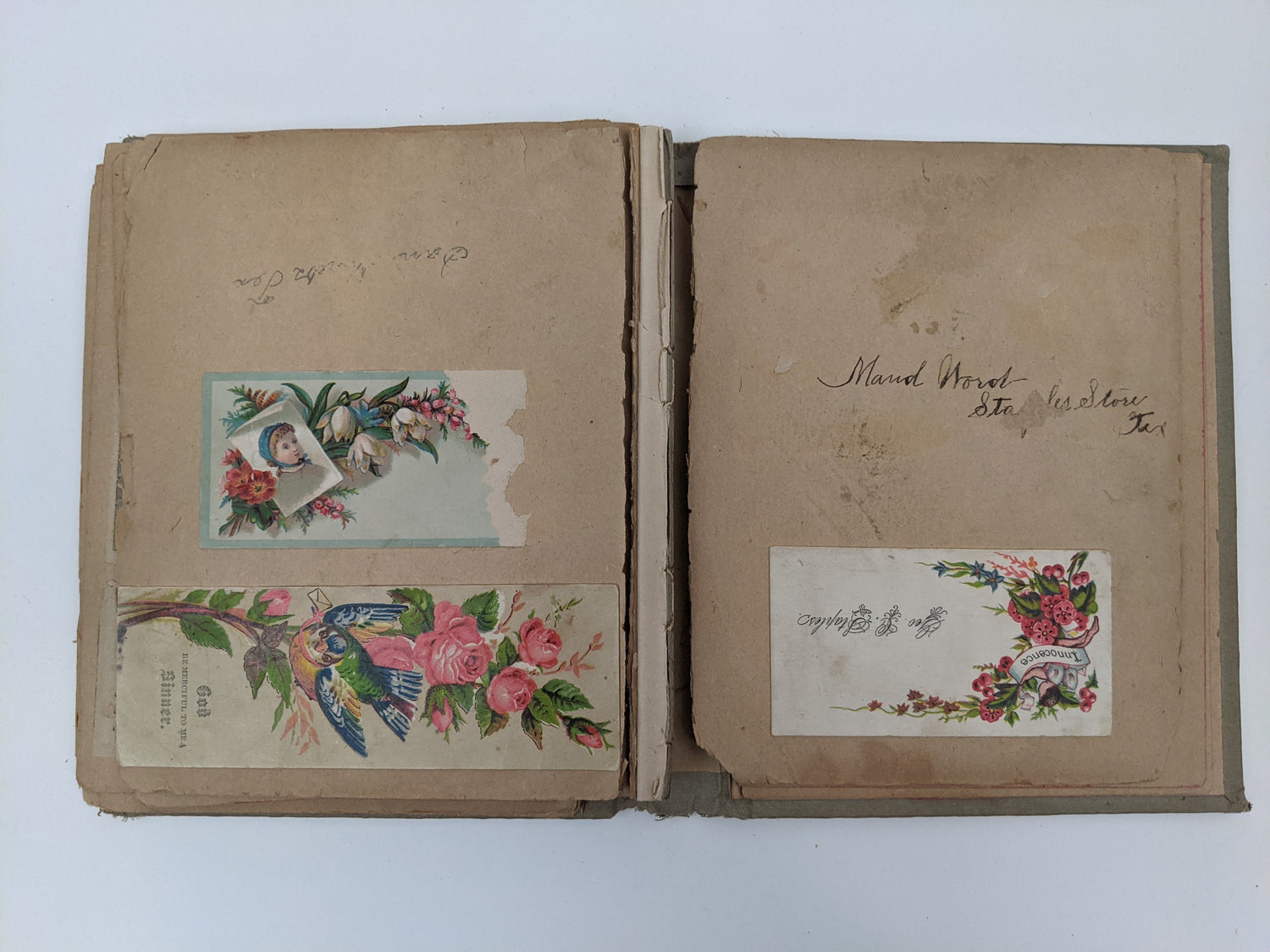 Victorian Scrapbook 1899 | 5.5" x 7"