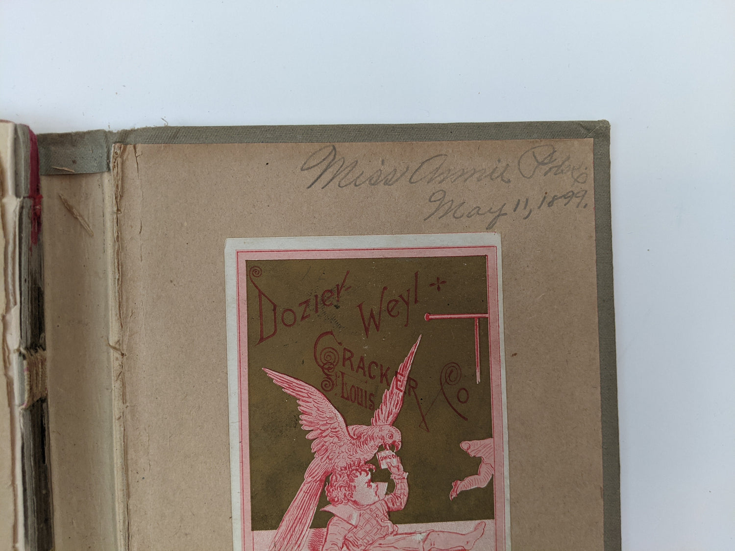 Victorian Scrapbook 1899 | 5.5" x 7"
