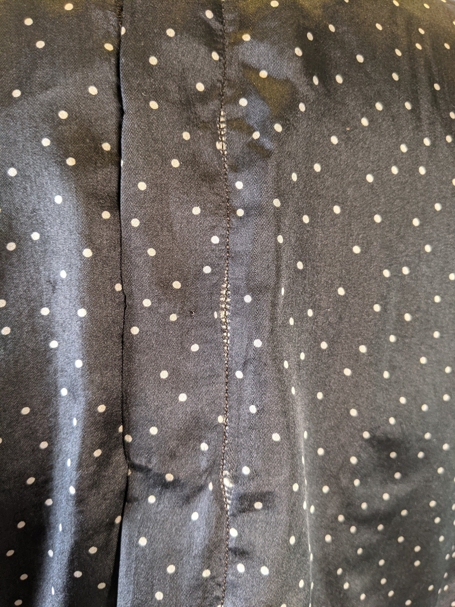 1910s Polka Dot Blouse