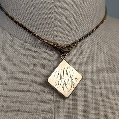 Victorian Celestial Locket