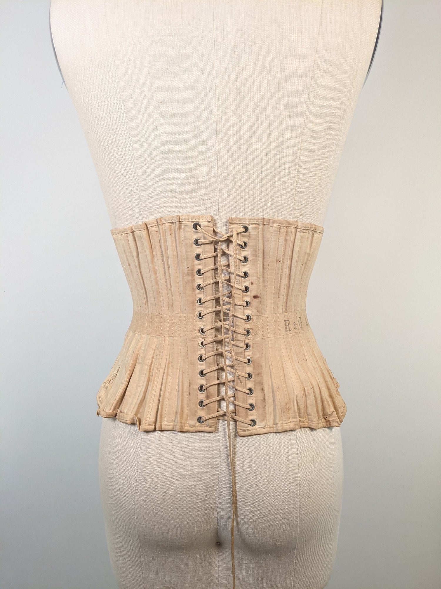 R&amp;G Corset | Study + Display