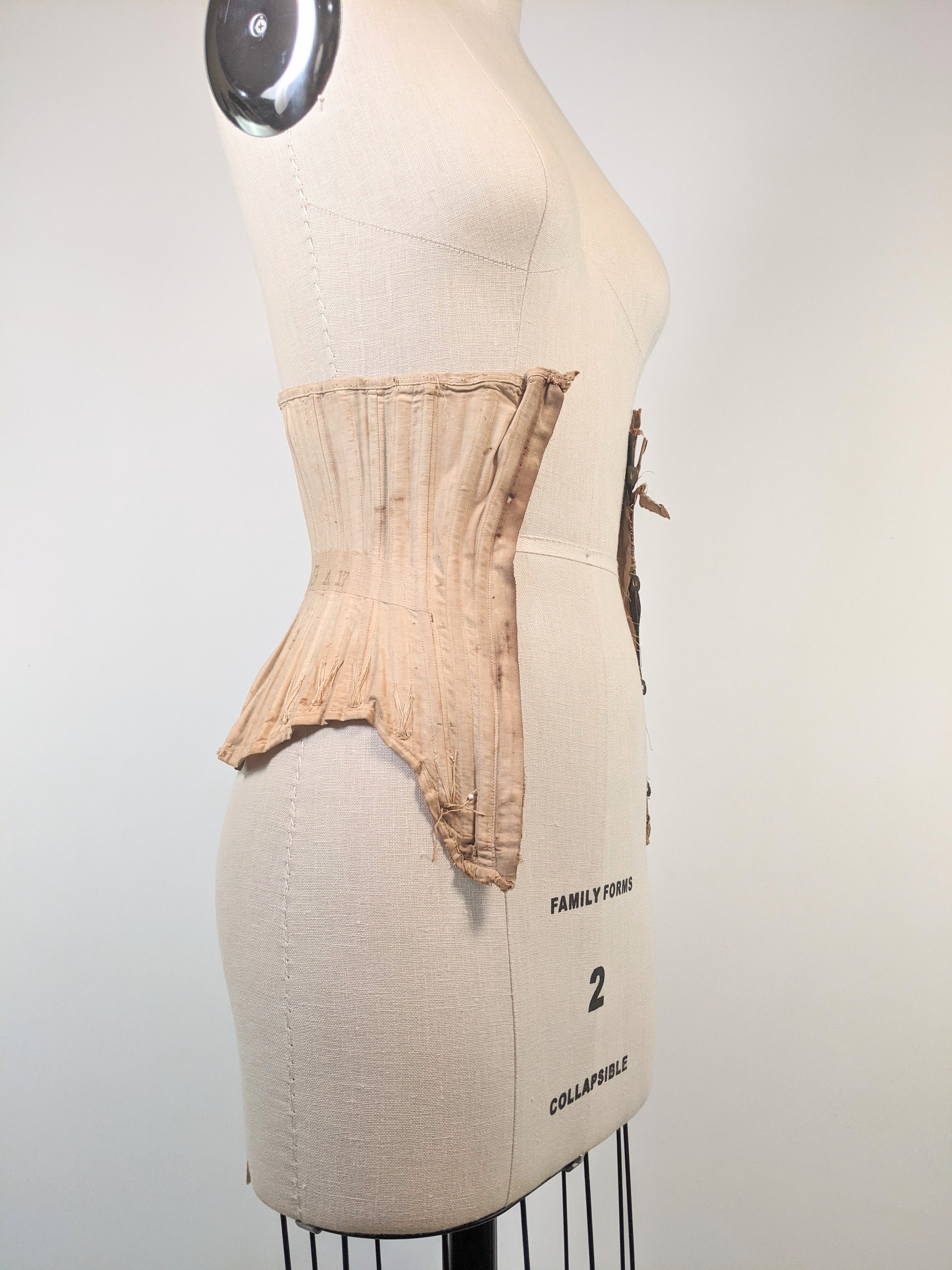 R&amp;G Corset | Study + Display