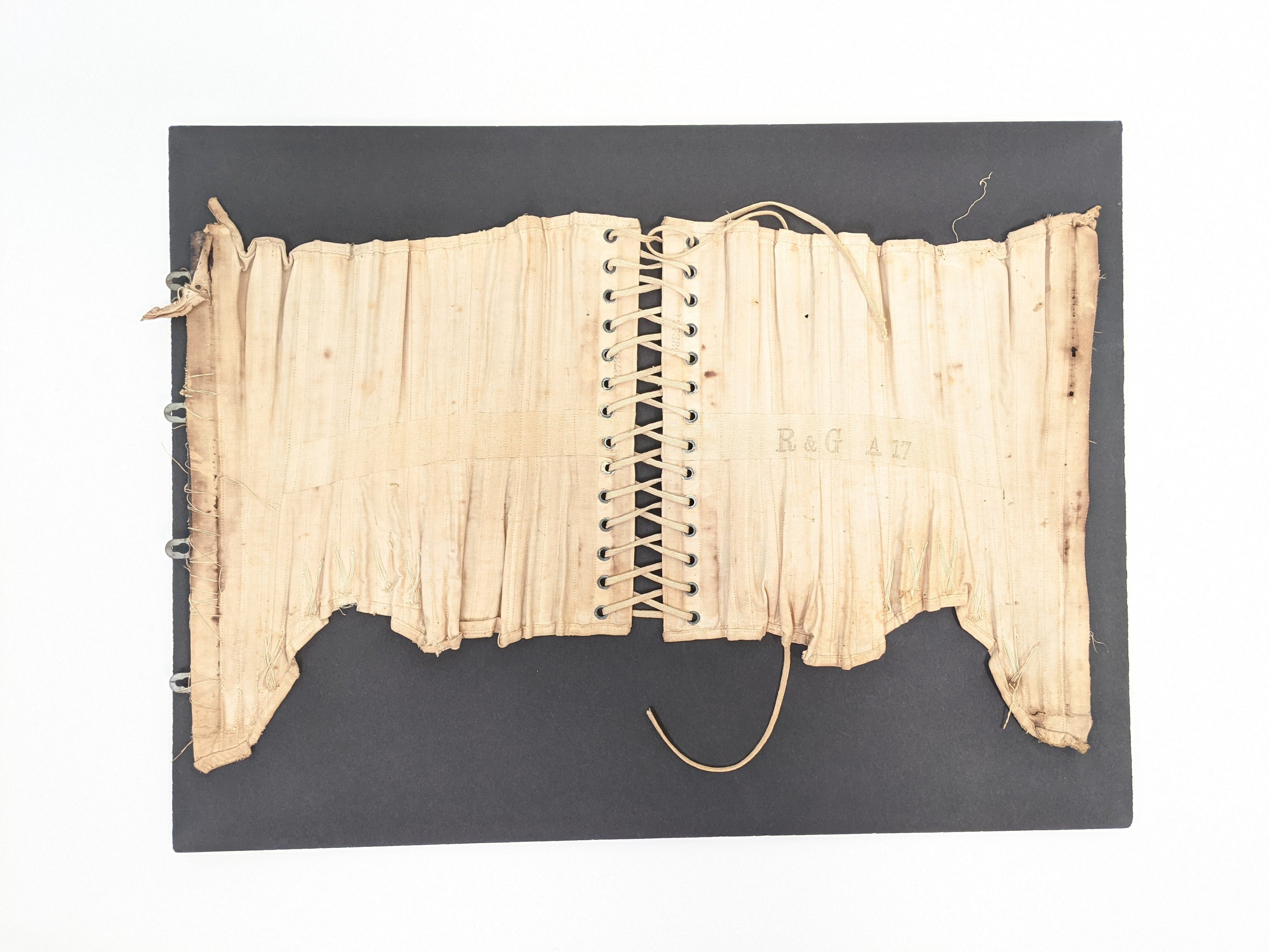 R&amp;G Corset | Study + Display