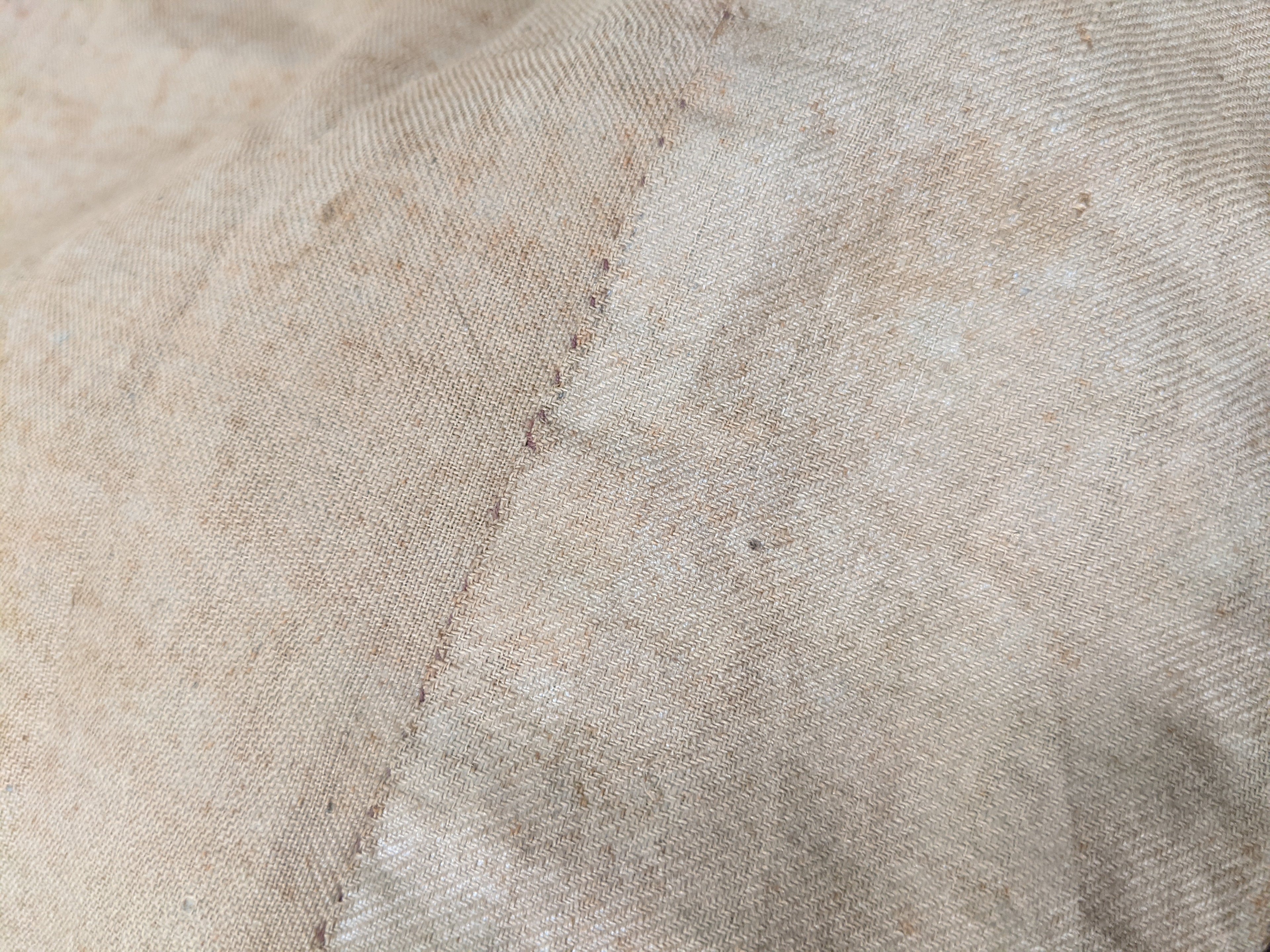1840s Champagne Silk Gown