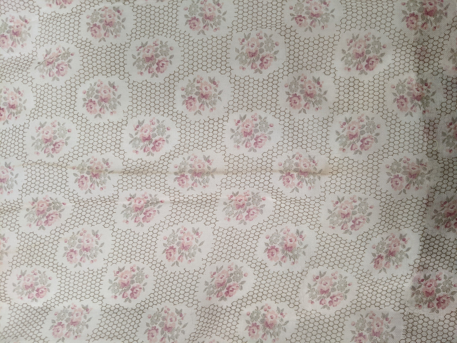 Late 1910s Cotton Voile Dress