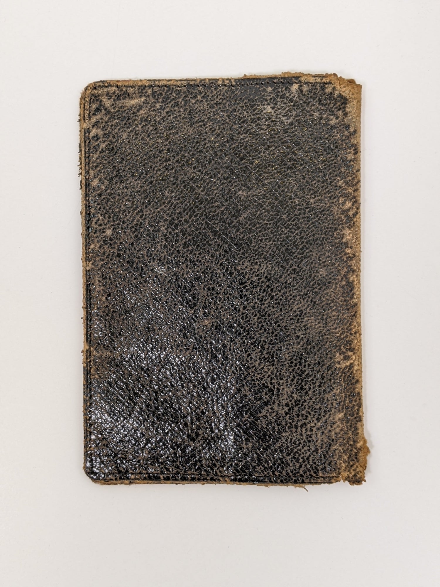 1888 Spiderweb Pocketbook
