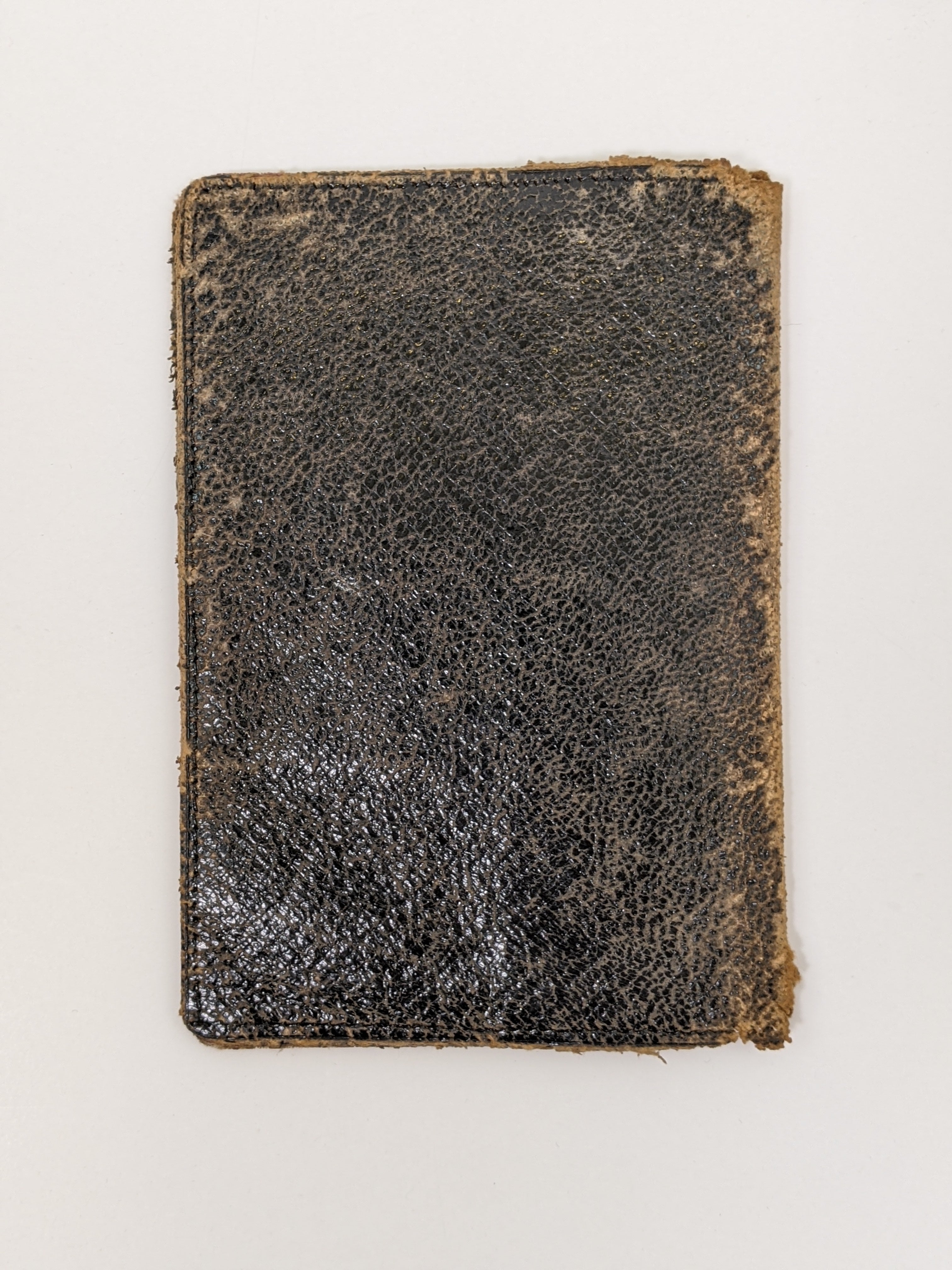 1888 Spiderweb Pocketbook