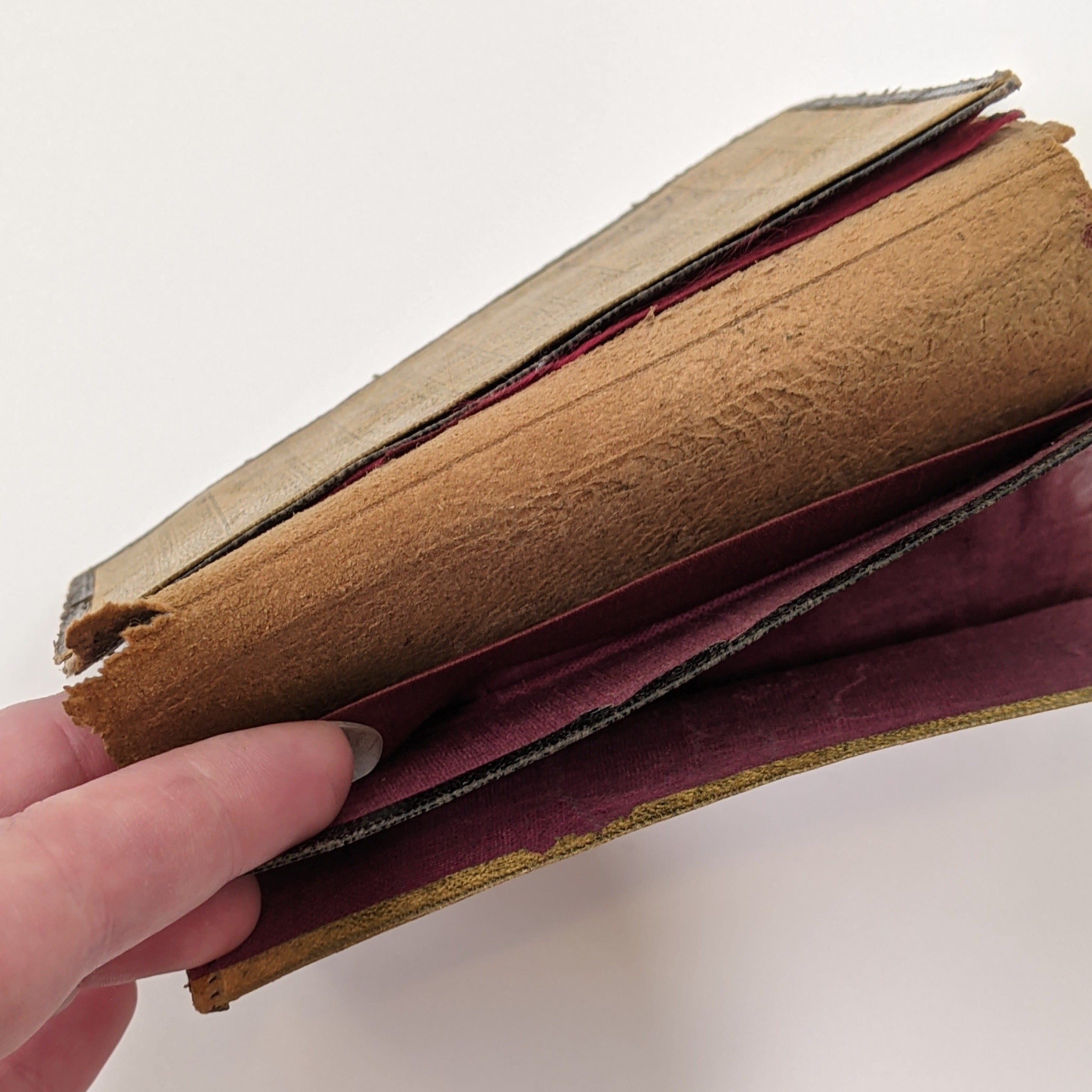 1888 Spiderweb Pocketbook