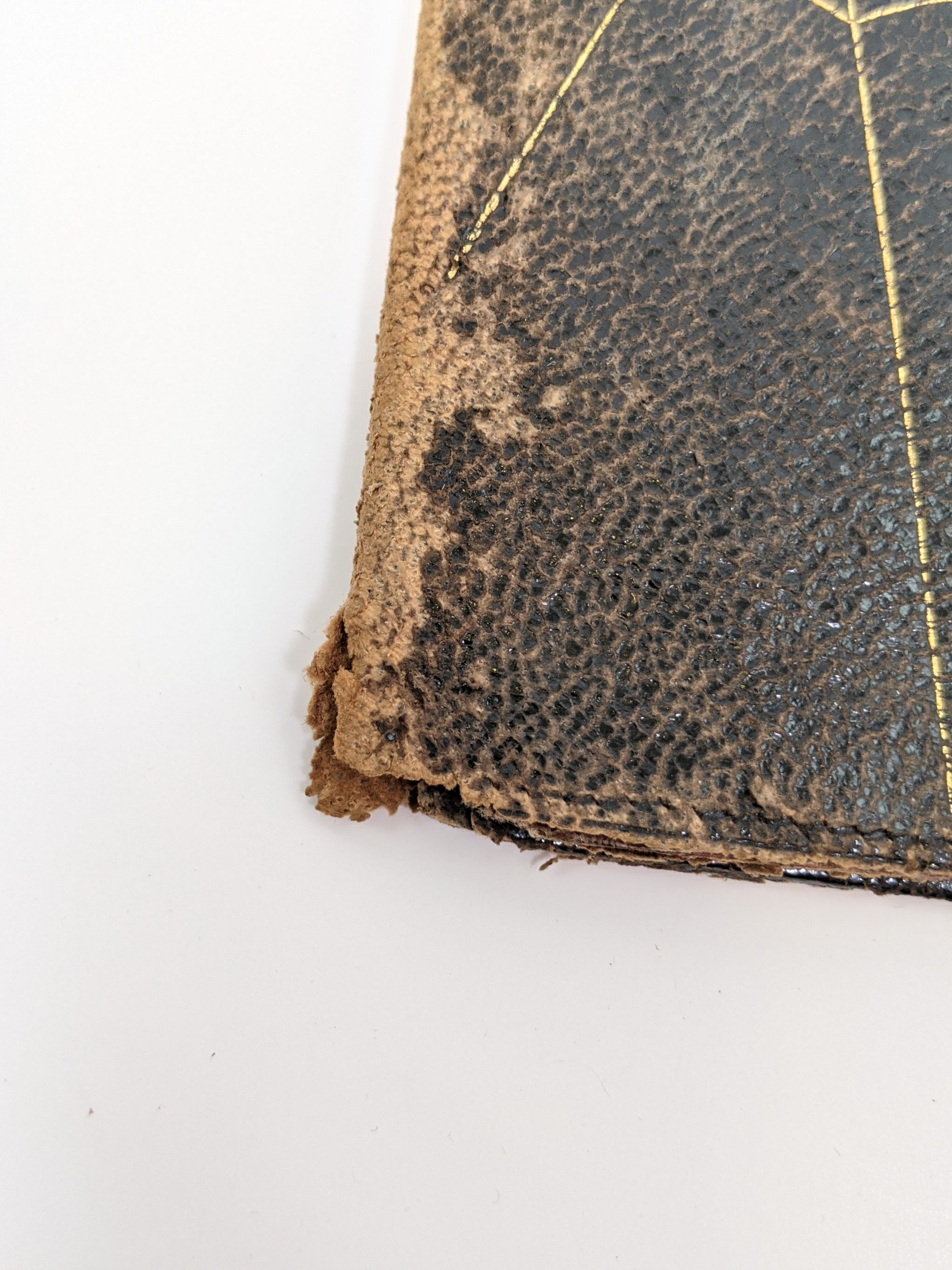 1888 Spiderweb Pocketbook
