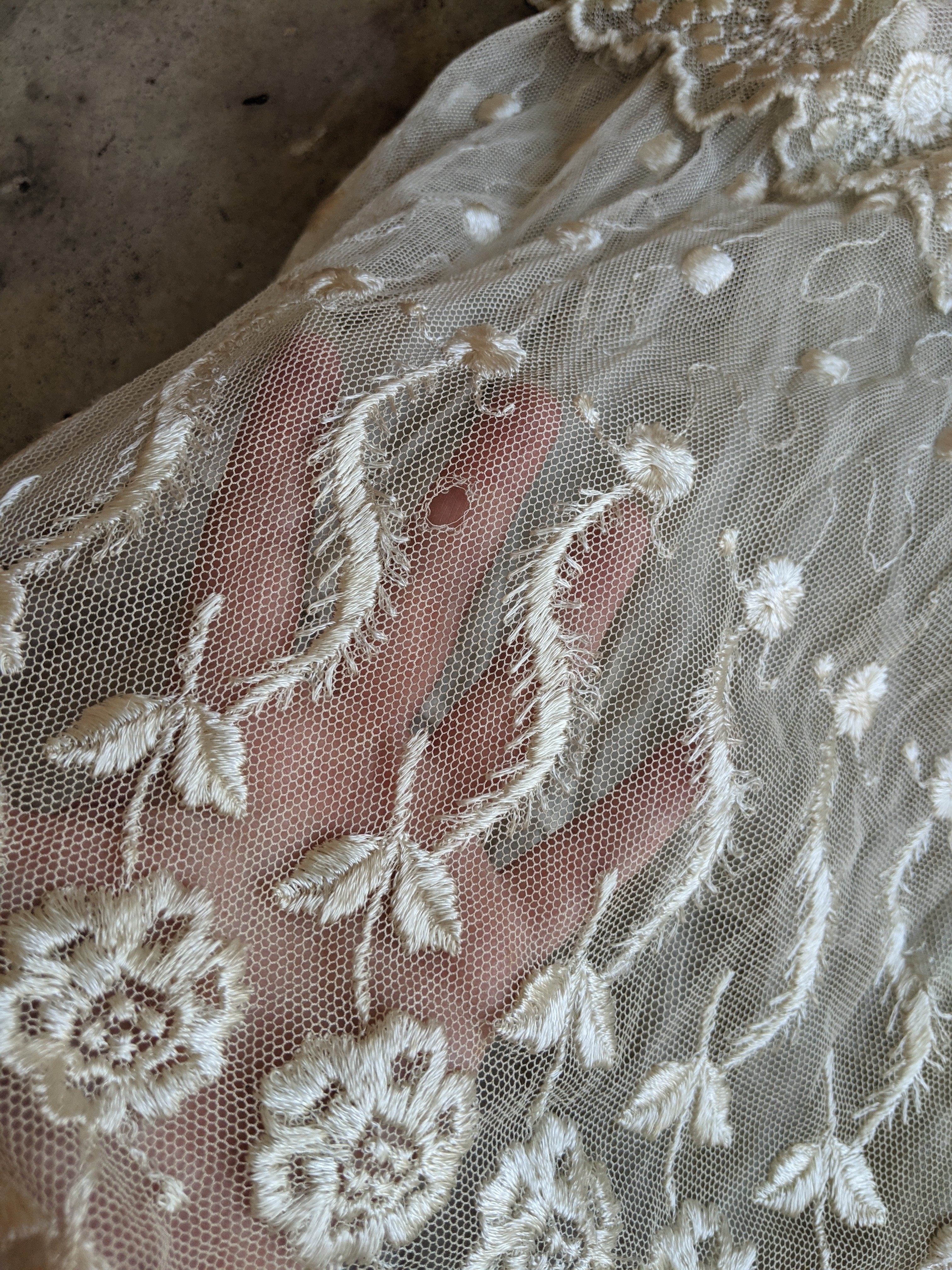 1900s Net Lace Dress