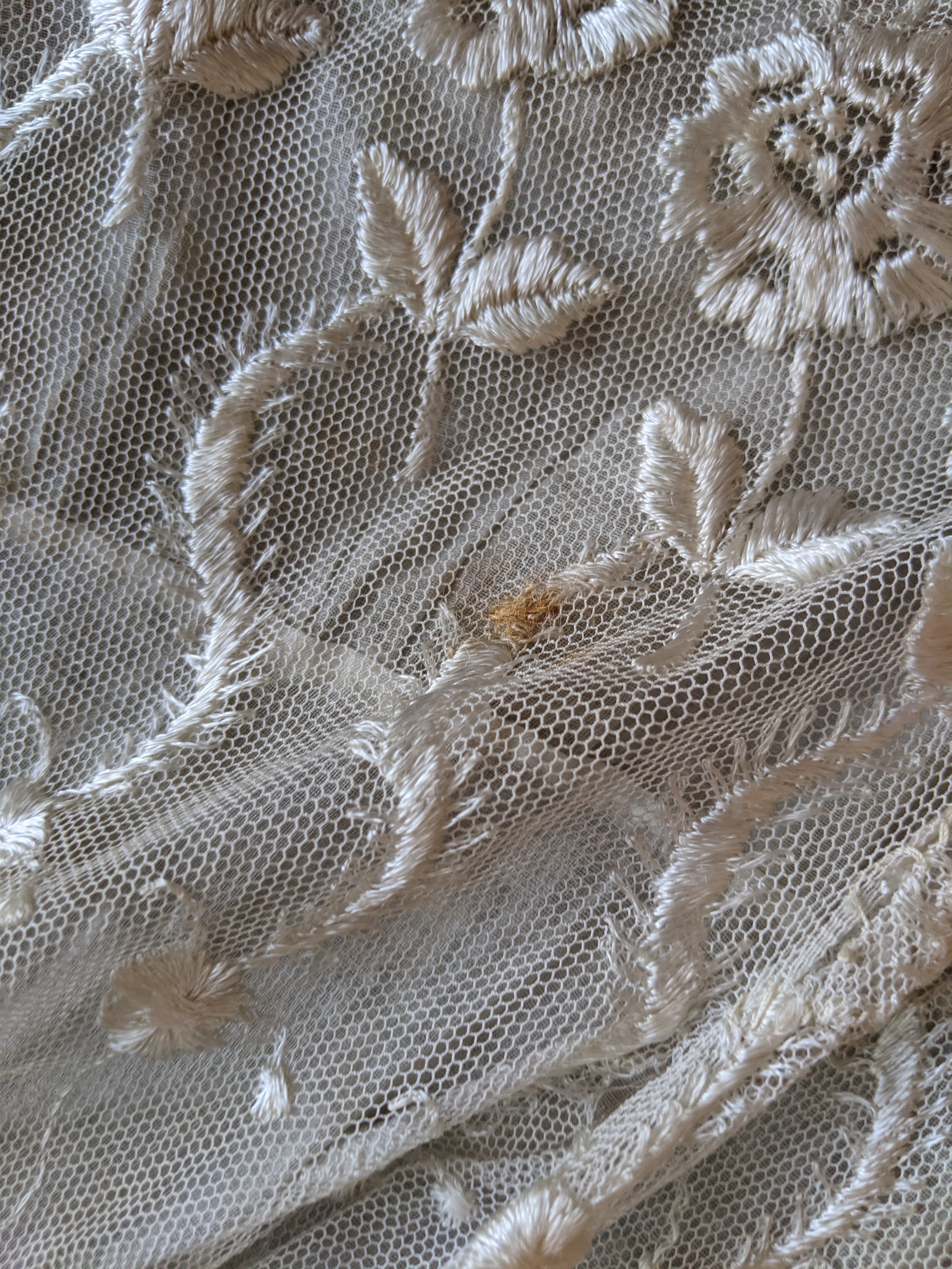 1900s Net Lace Dress
