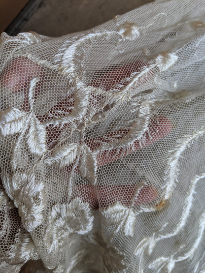 1900s Net Lace Dress