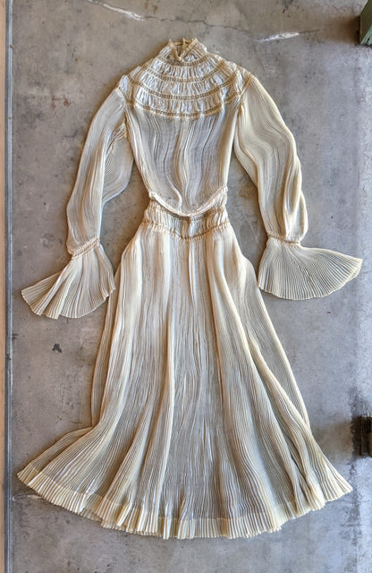 1900s Ethereal Silk Pleated Dress