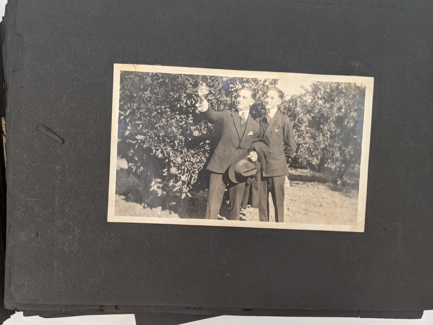 Photo Album c. 1914-1922