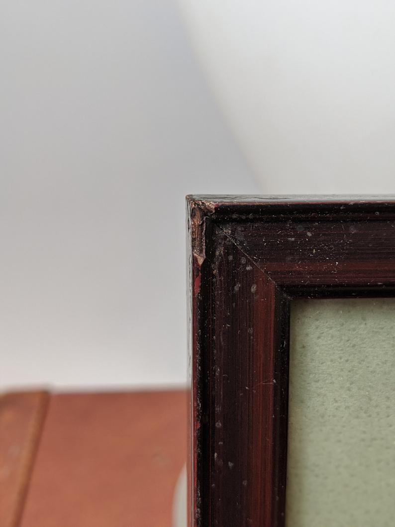 Victorian Framed Sepia Hair Art