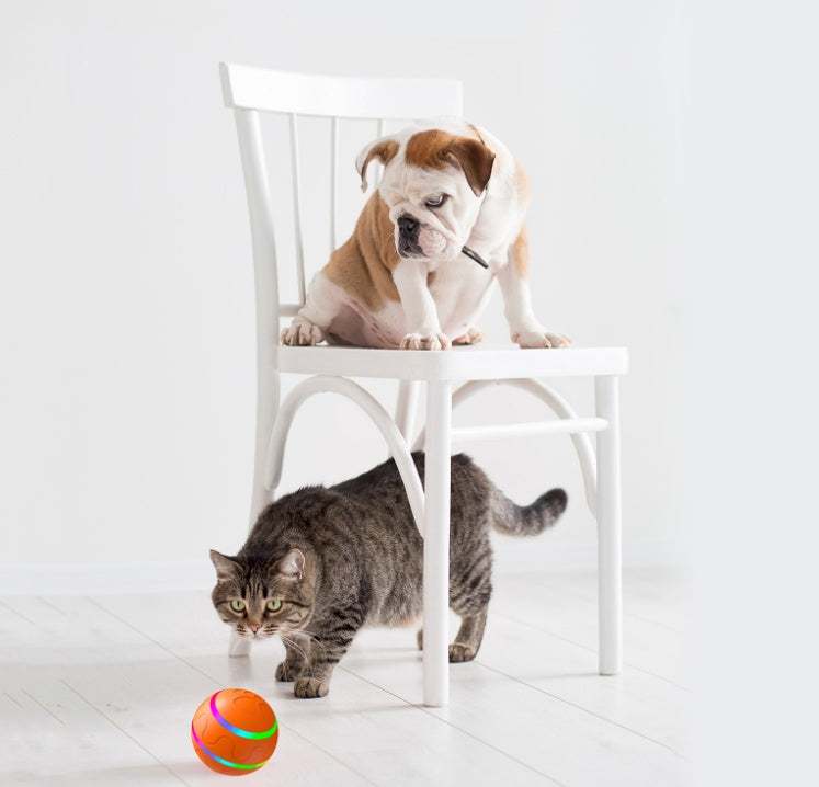 Pet New Cat Wicked Ball Toy Intelligent Ball USB Cat Toys Self Rotating Ball Automatic Rotation Ball - Gadgets &amp; Gifts